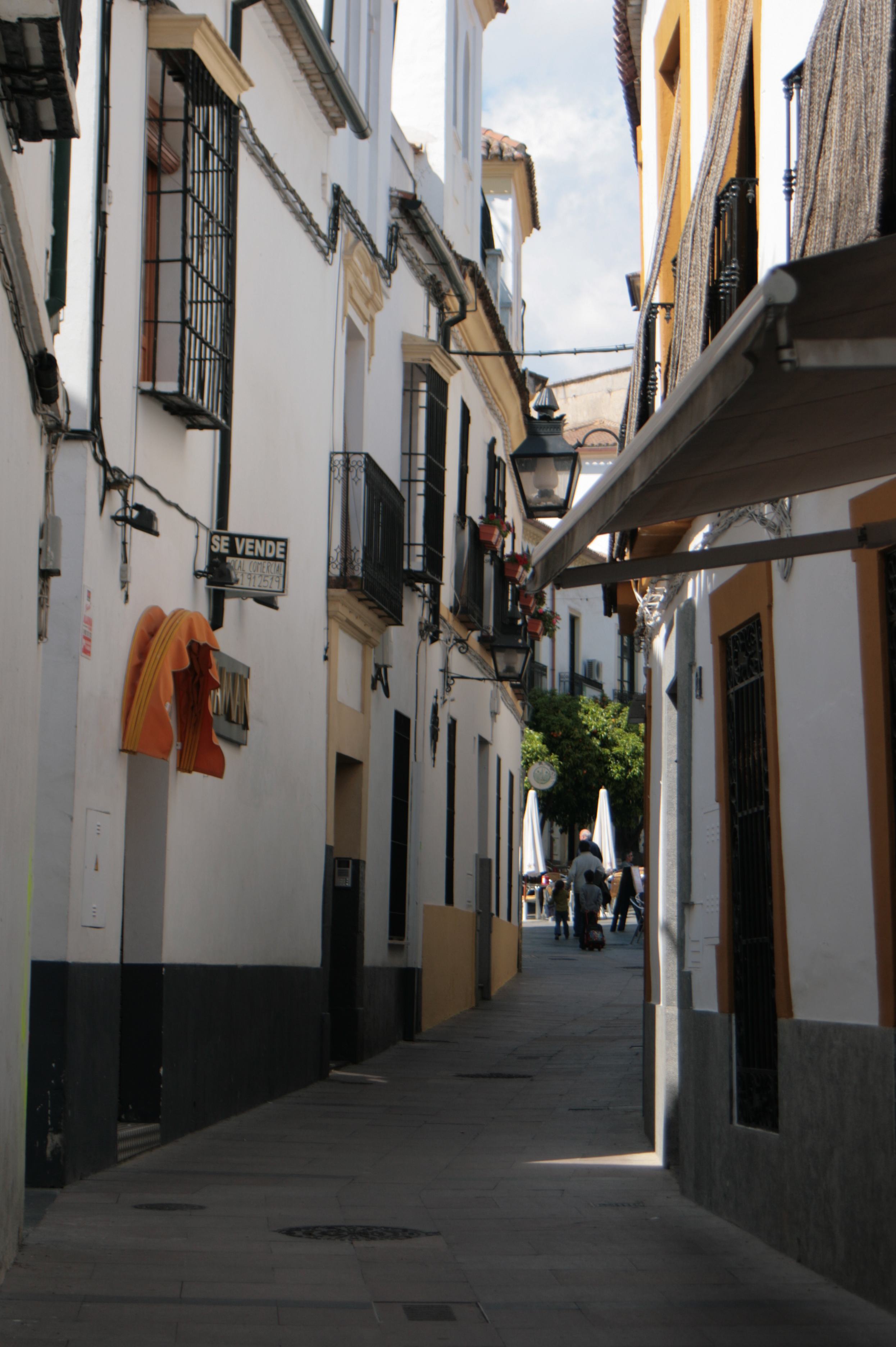 20090331153408.jpg