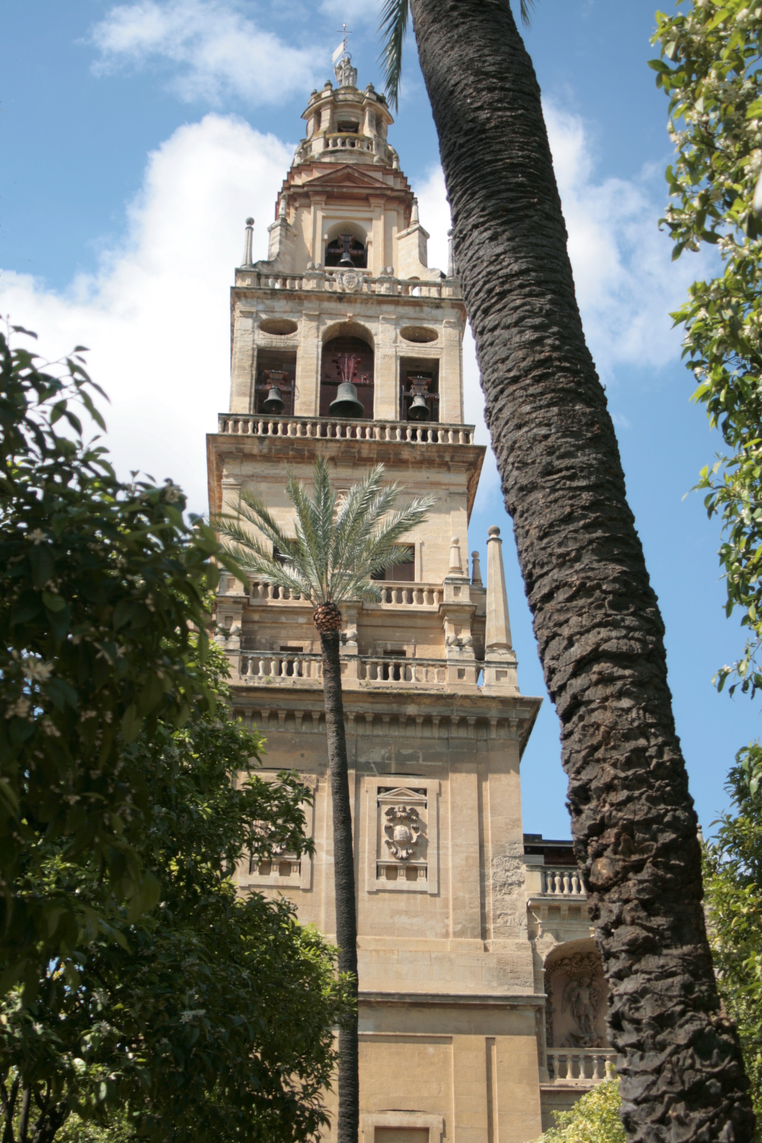 20090331155859.jpg