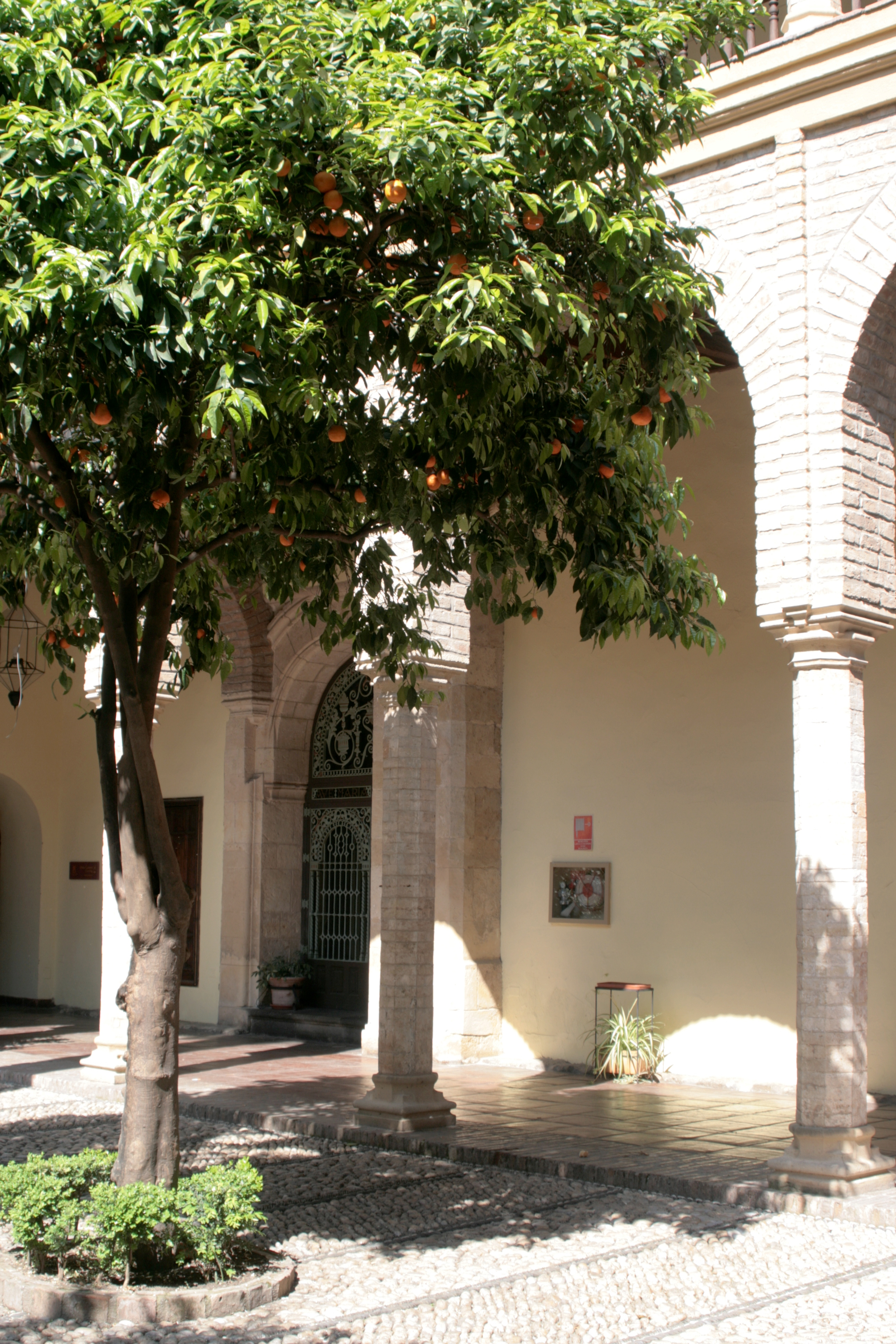 20090331160913.jpg