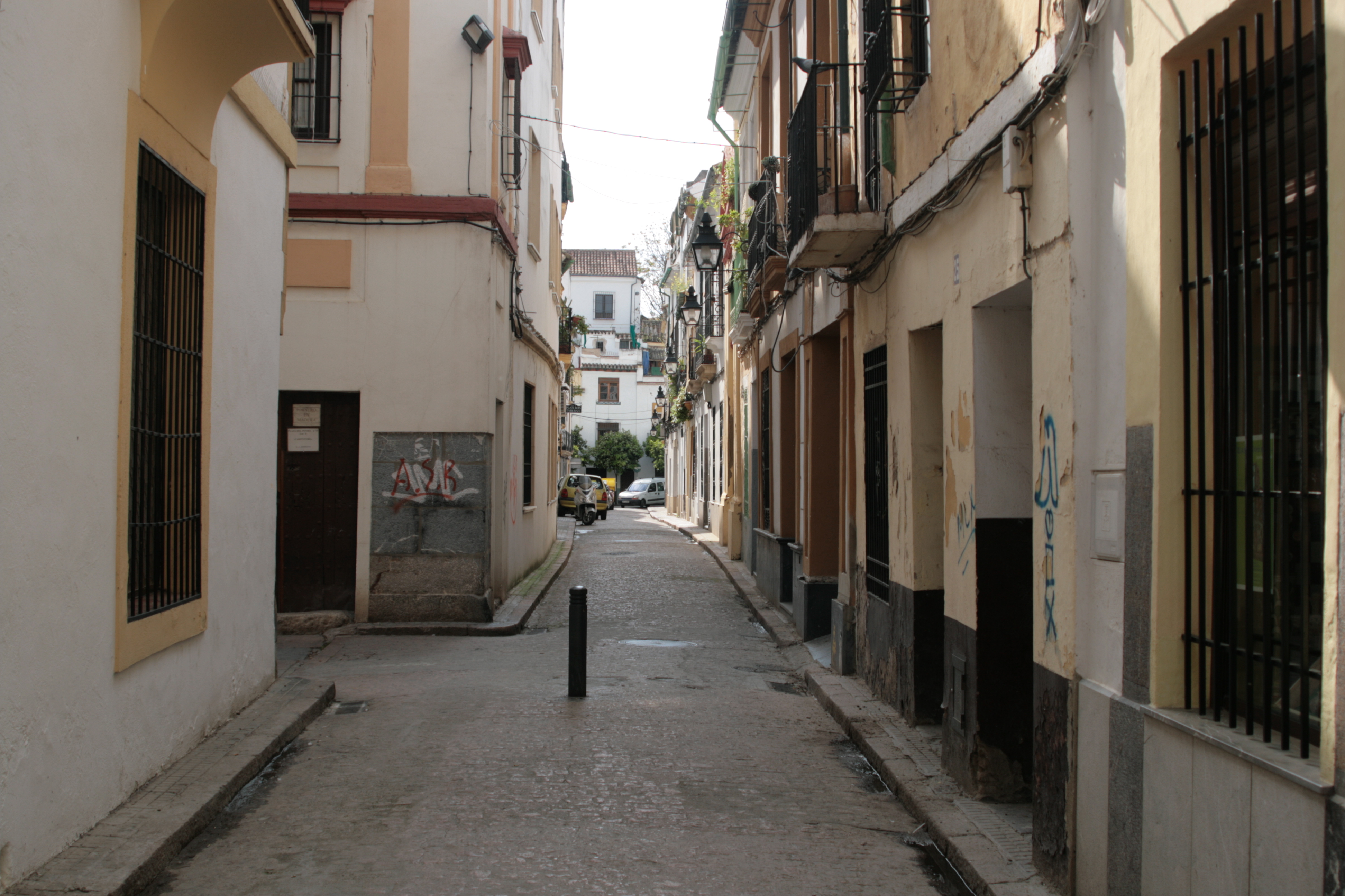20090331170732.jpg