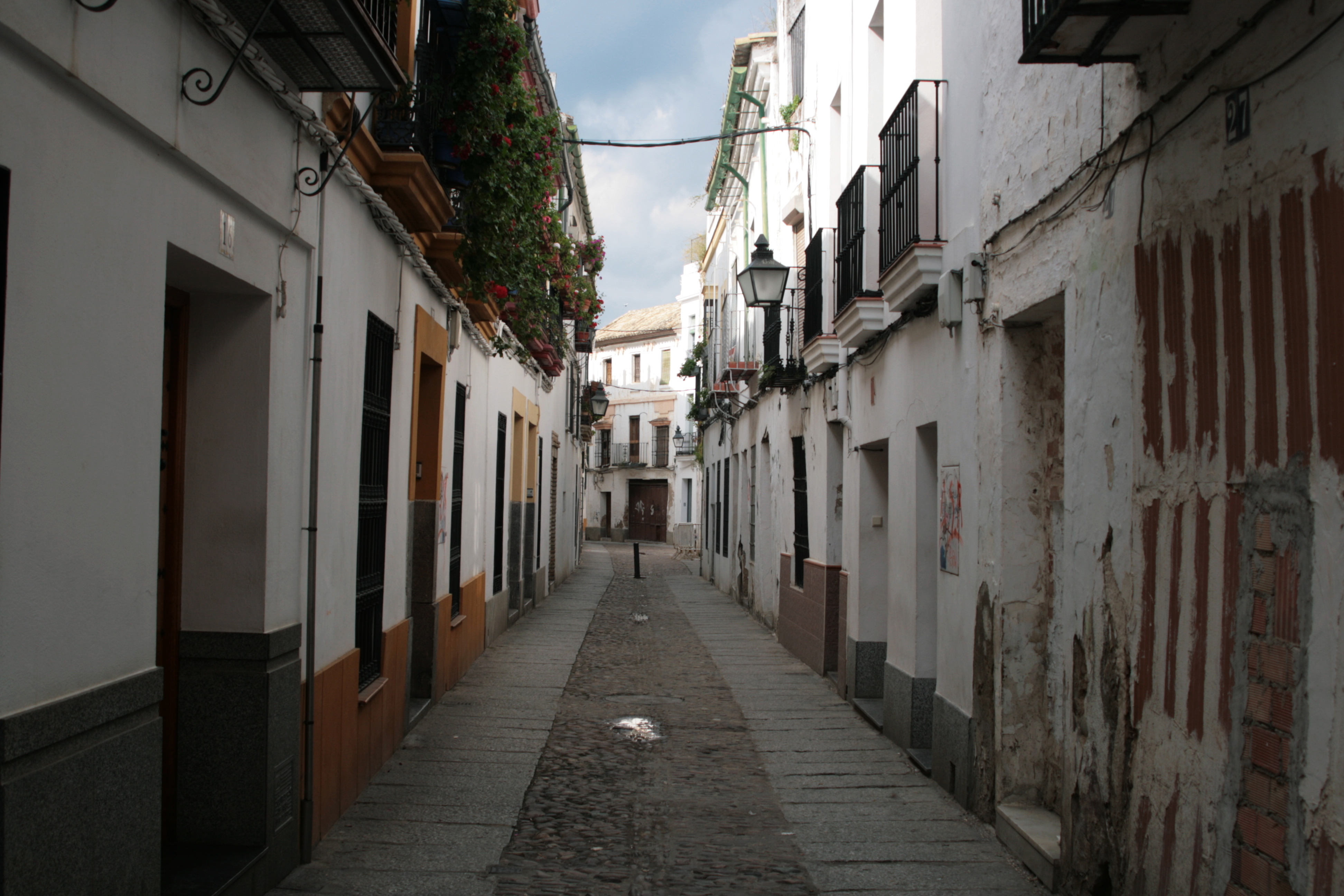 20090331170811.jpg
