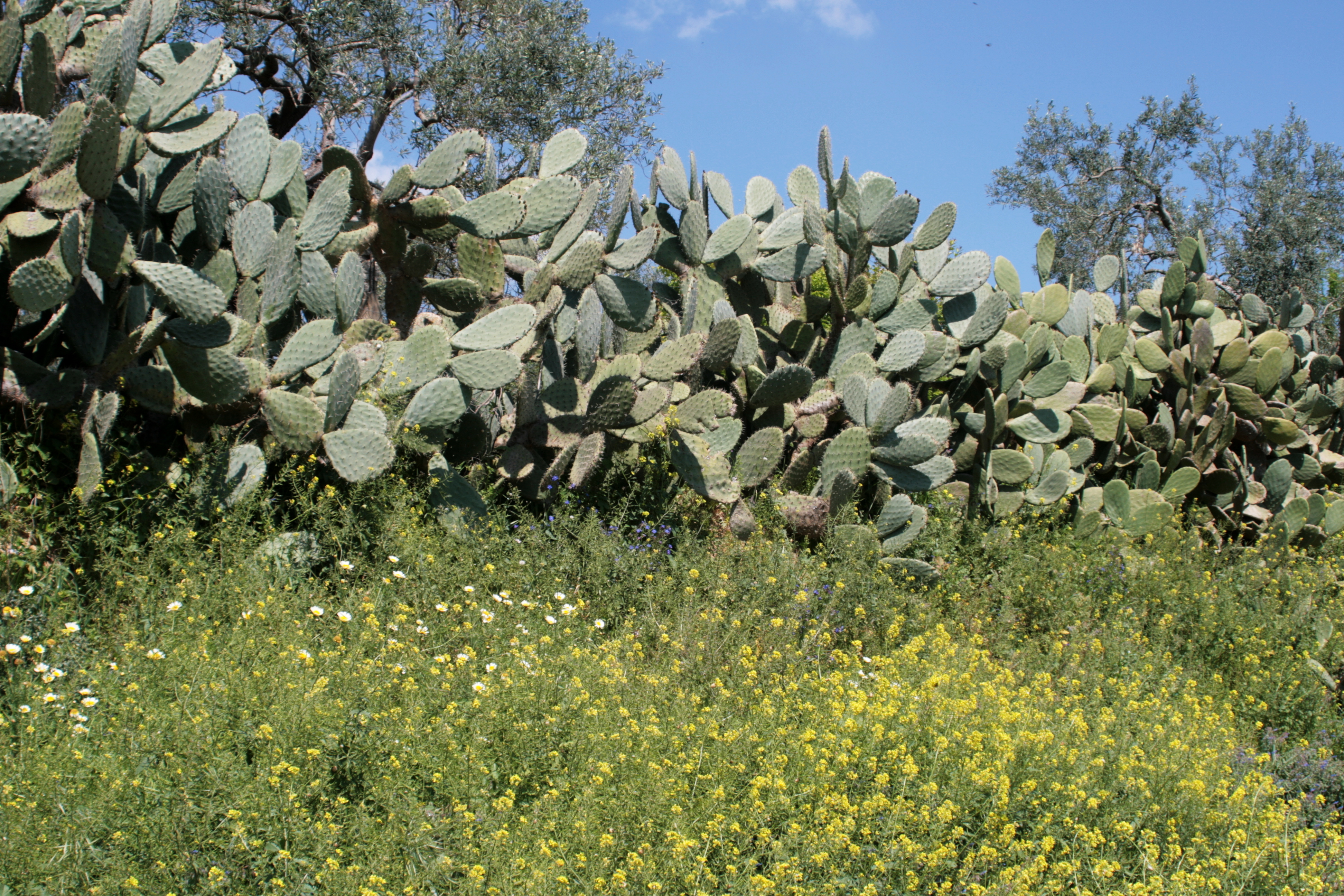 20090401141749.jpg