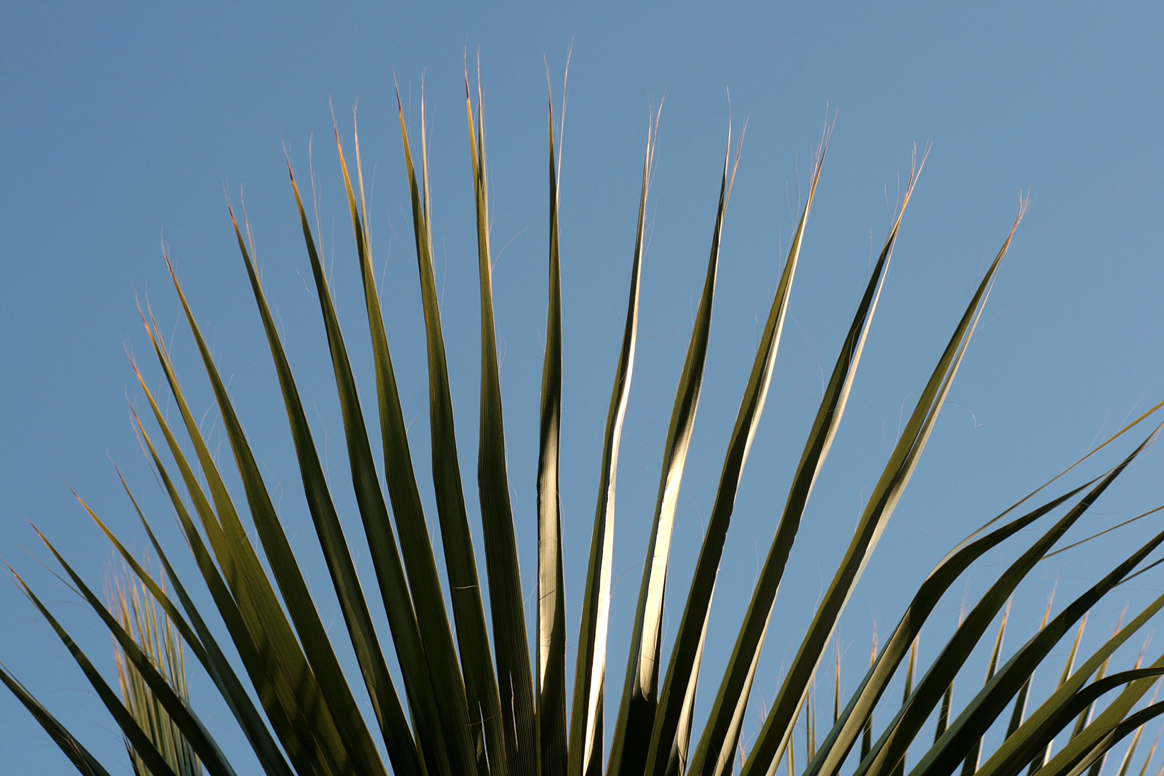 20090402090738.jpg