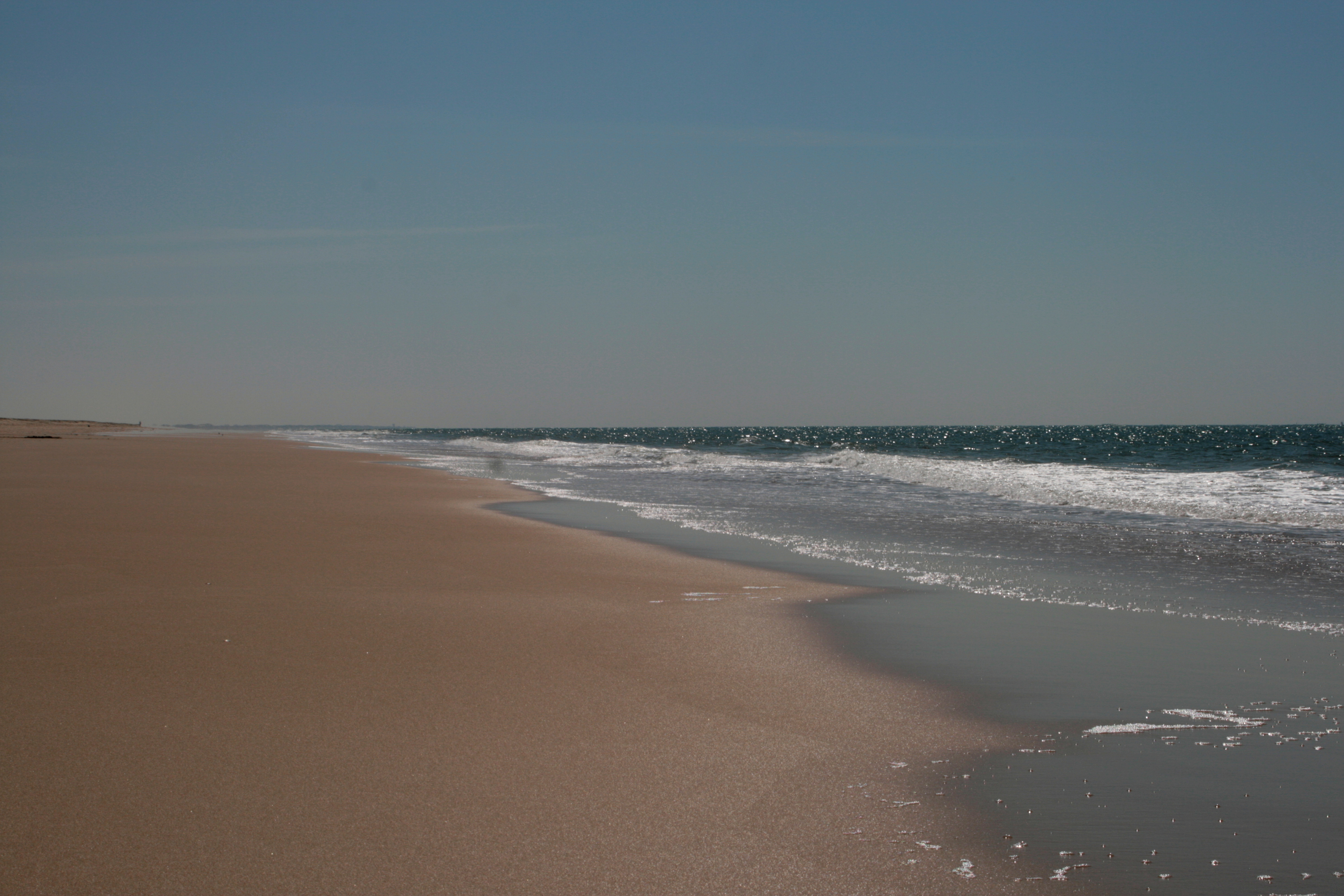 20090402131156.jpg