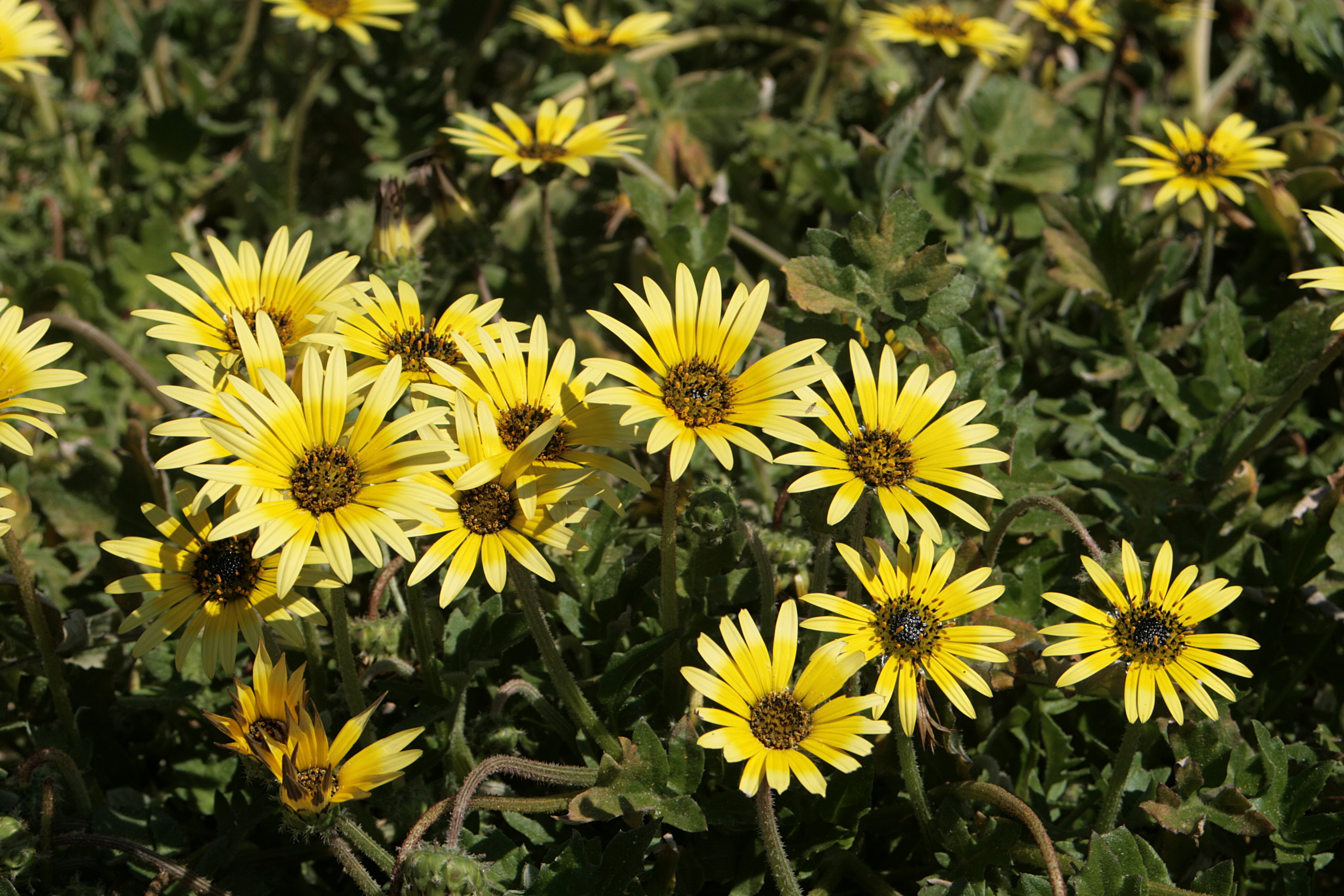20090402131648.jpg