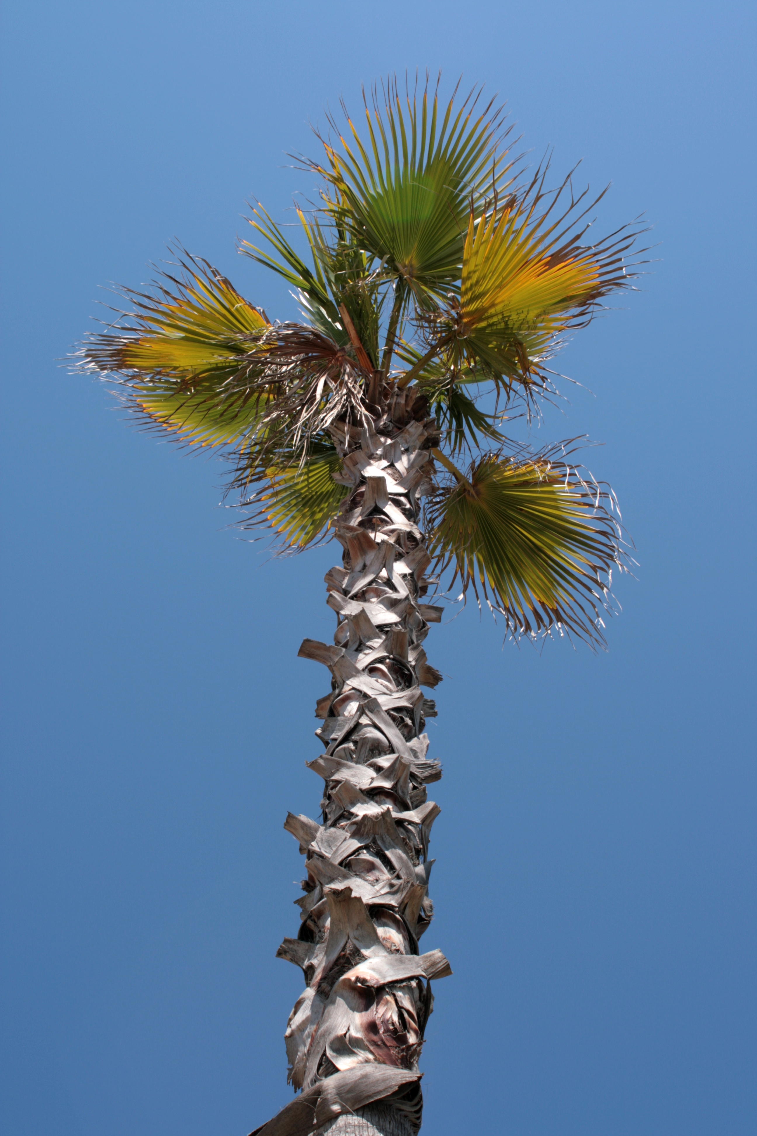 20090402140032.jpg