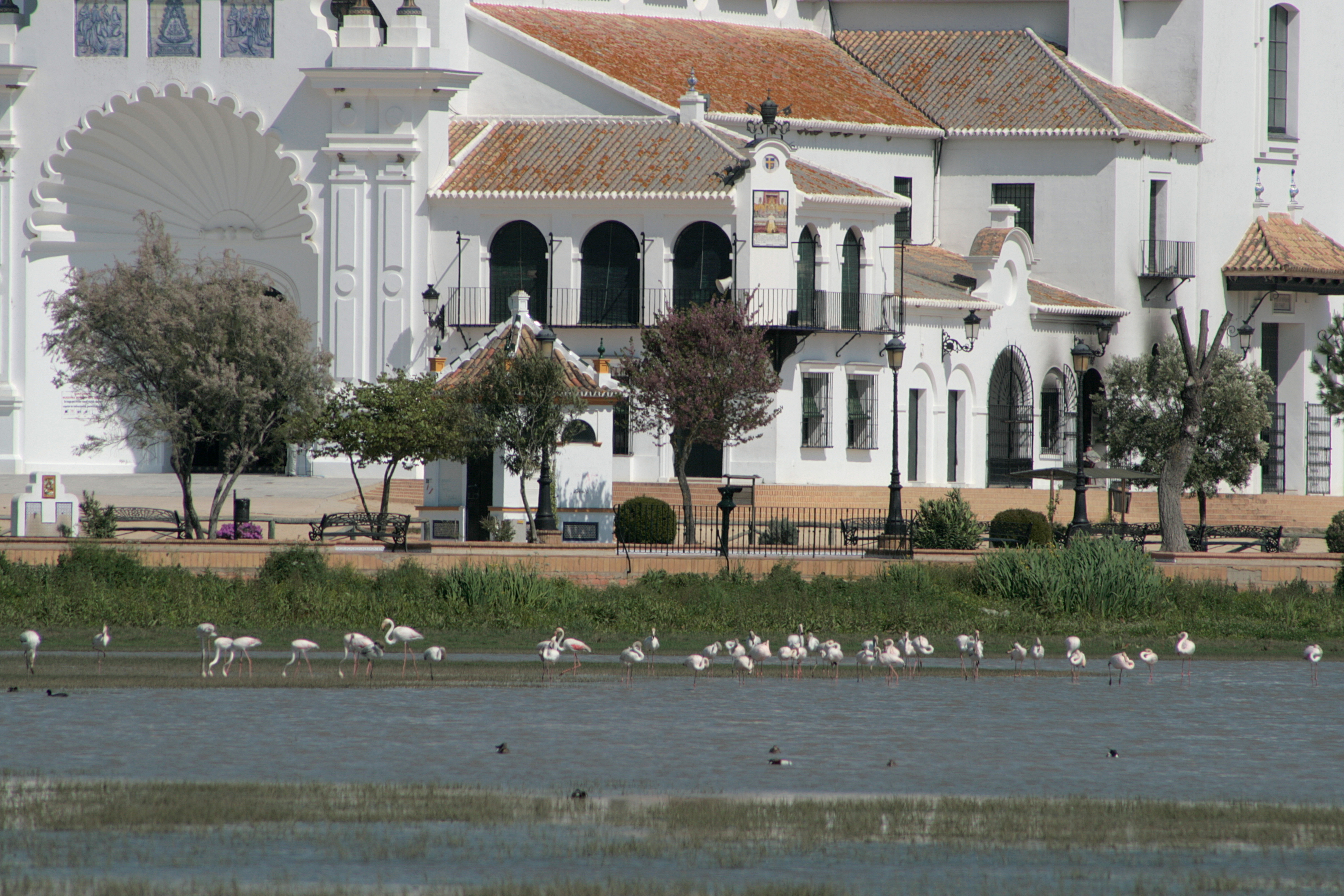 20090402161643.jpg