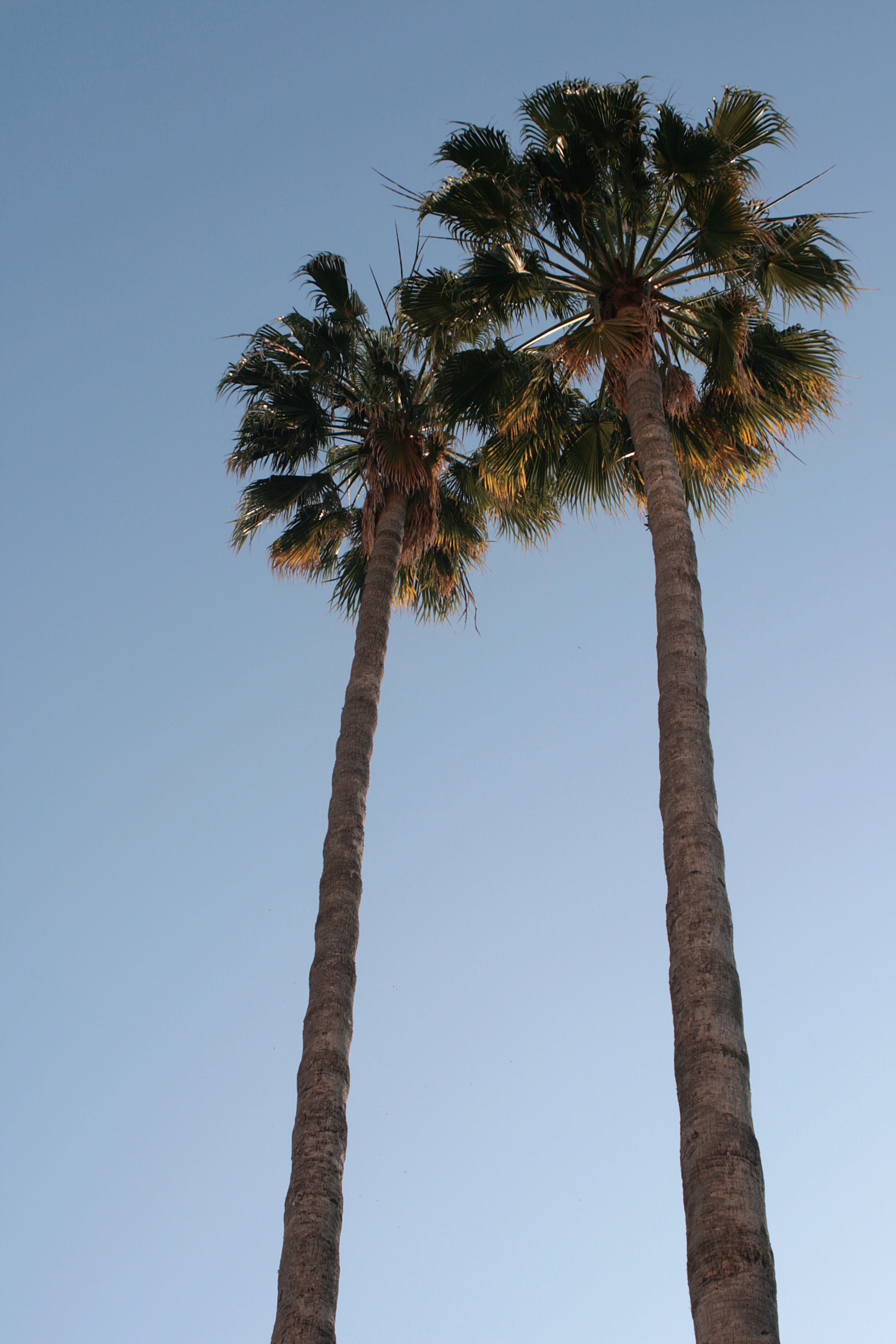 20090403091258.jpg