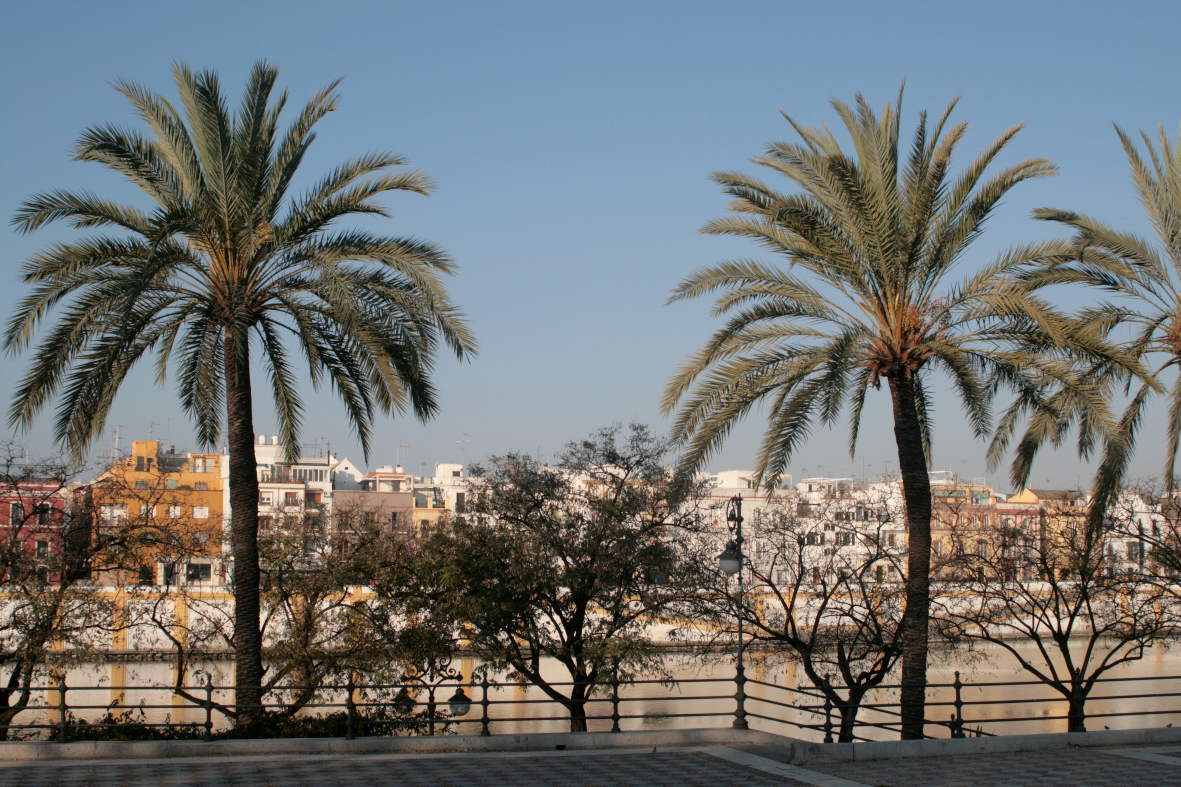 20090403092411.jpg