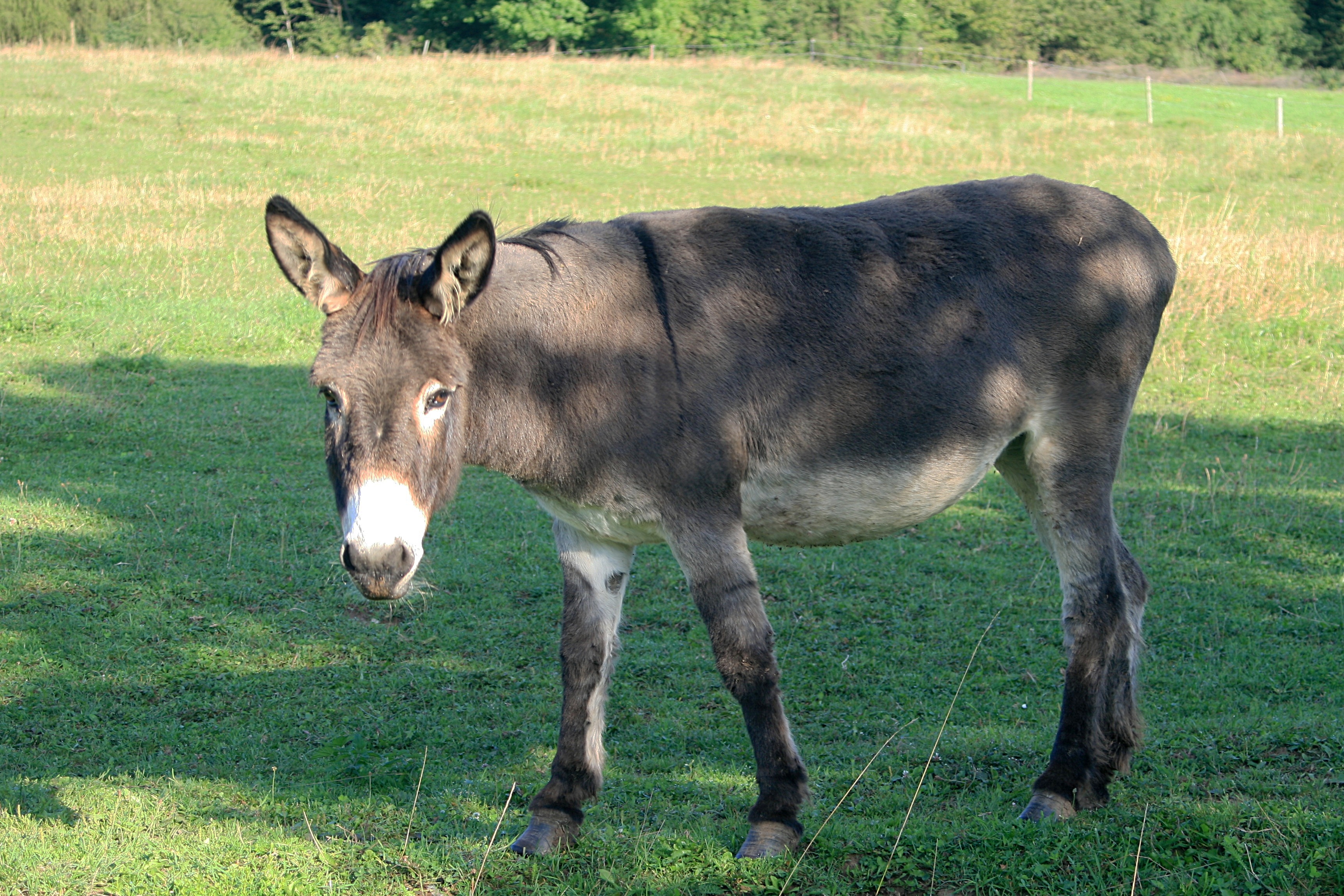 20100821072617.jpg