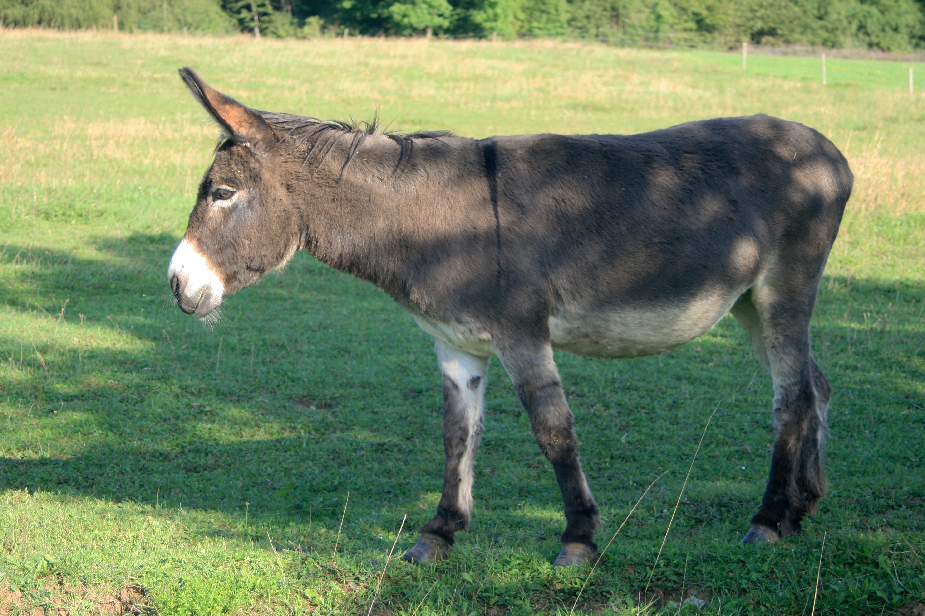 20100821072636.jpg