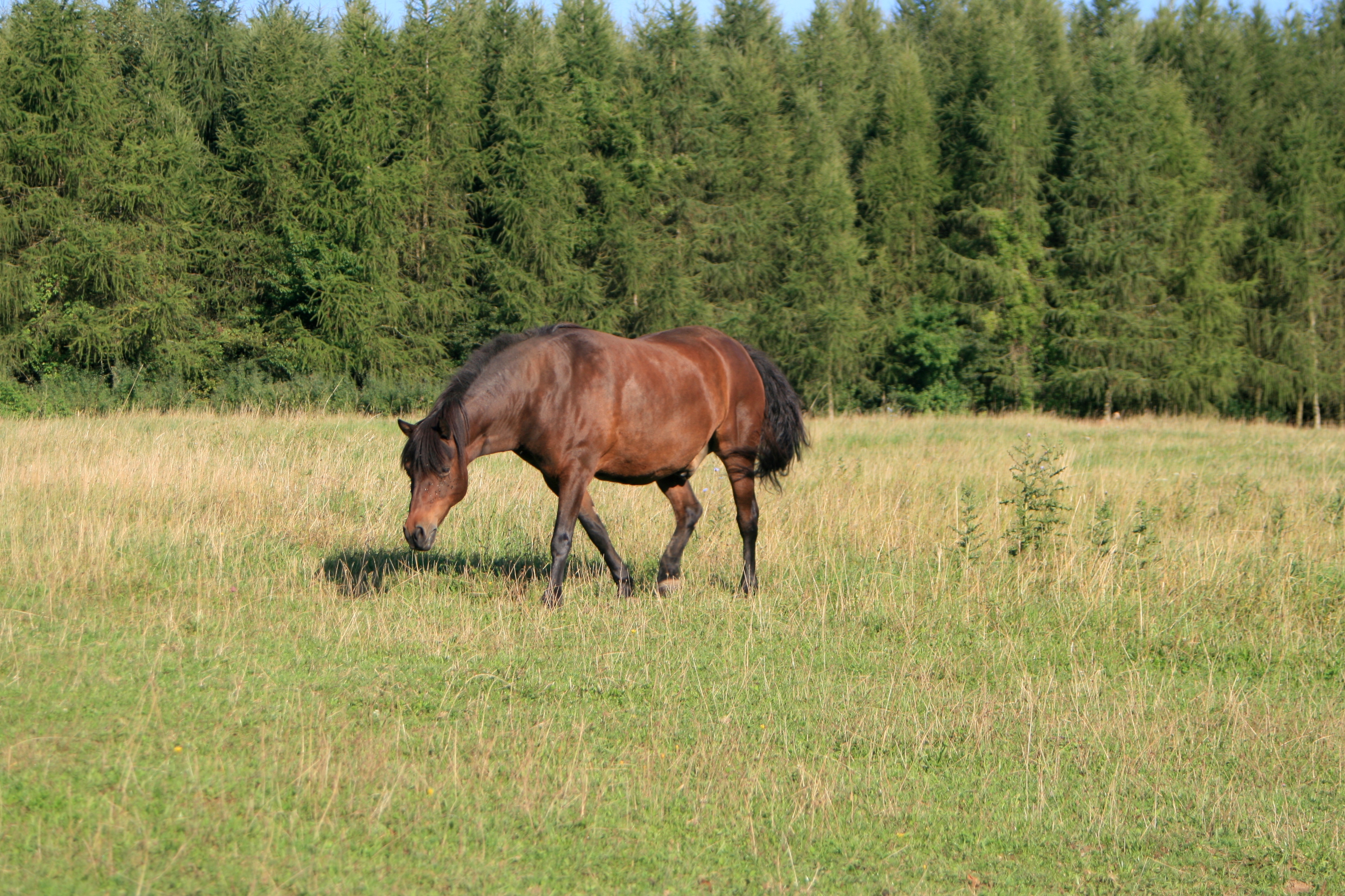 20100821072745.jpg