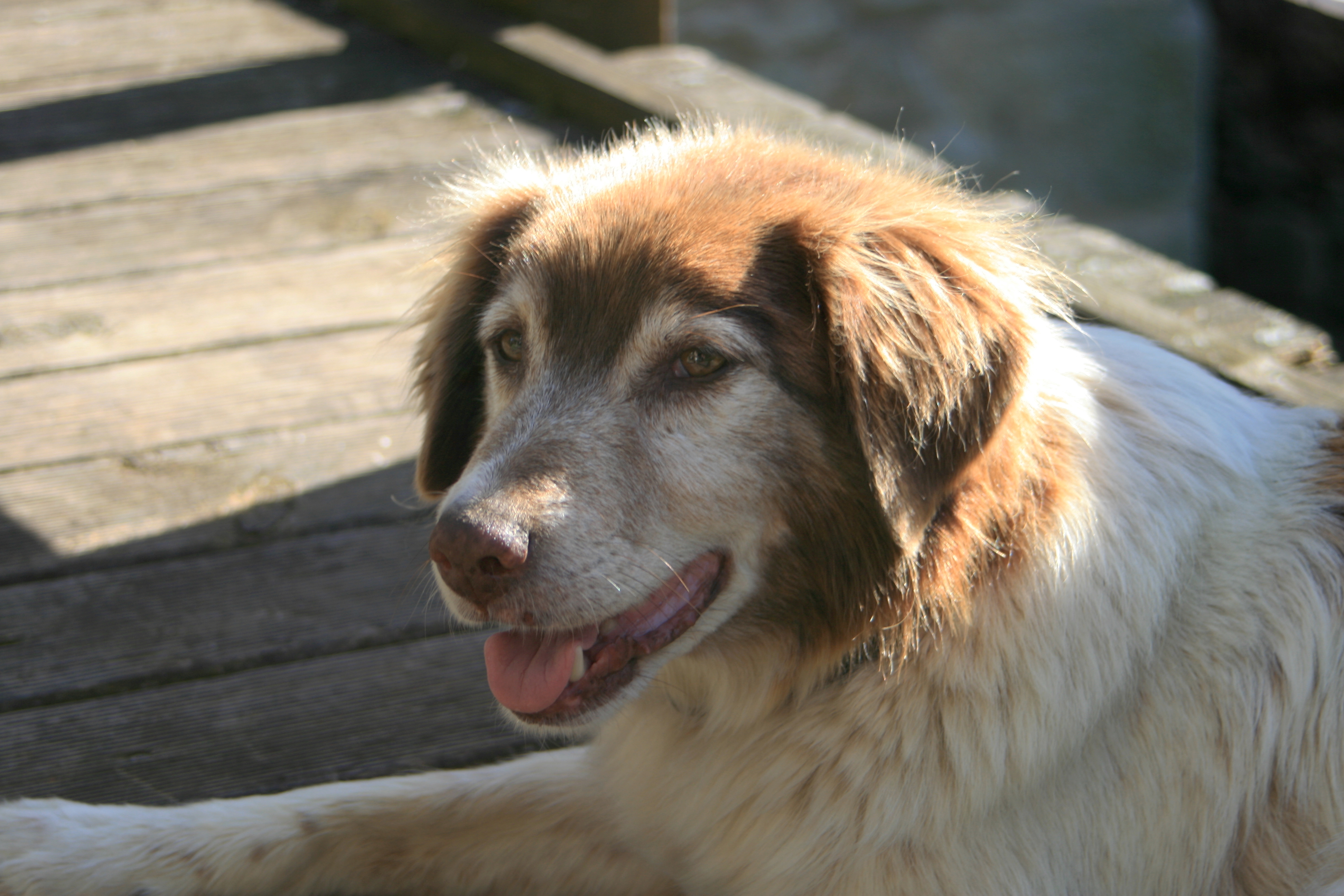 20100821085431.jpg