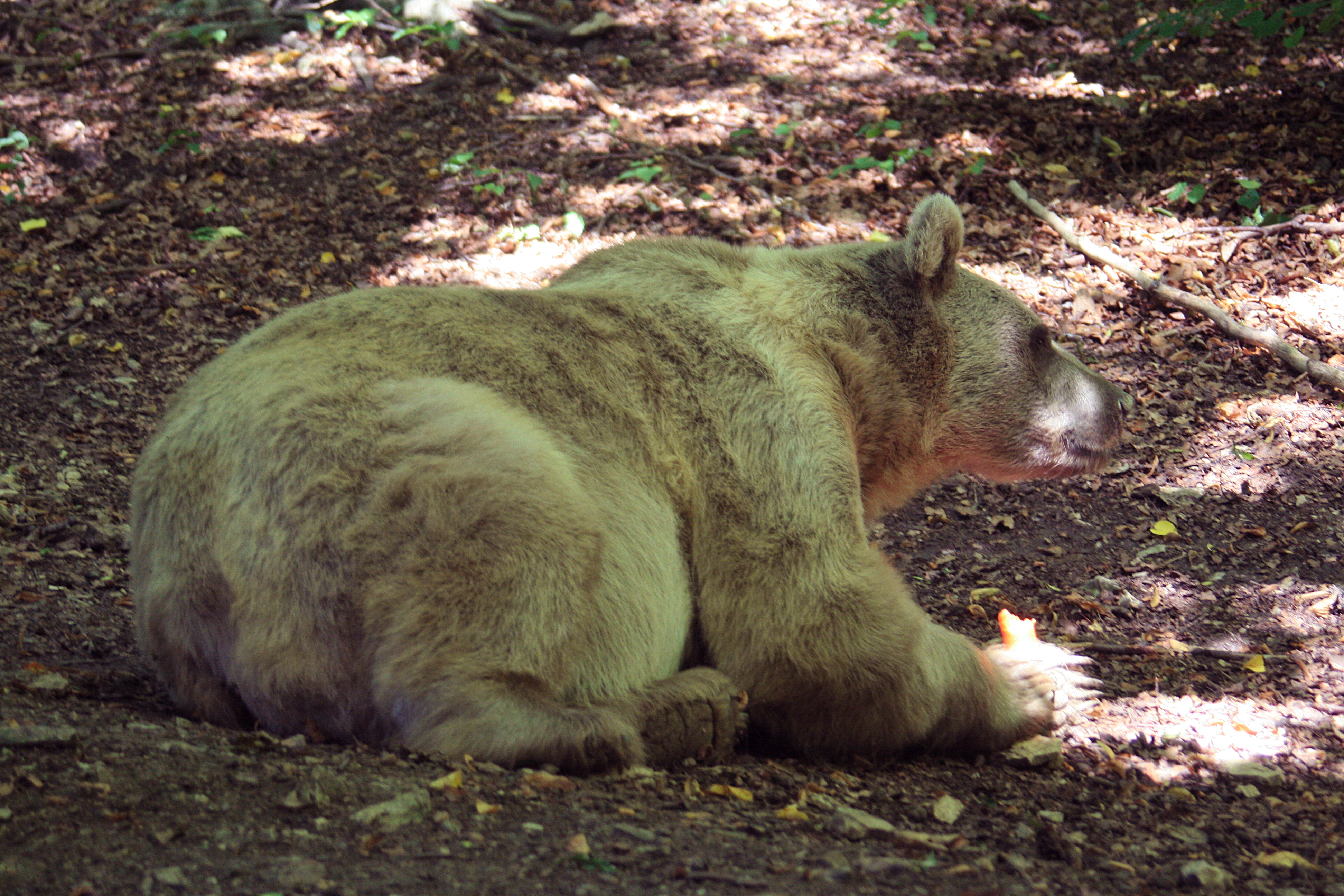 20100821105921.jpg