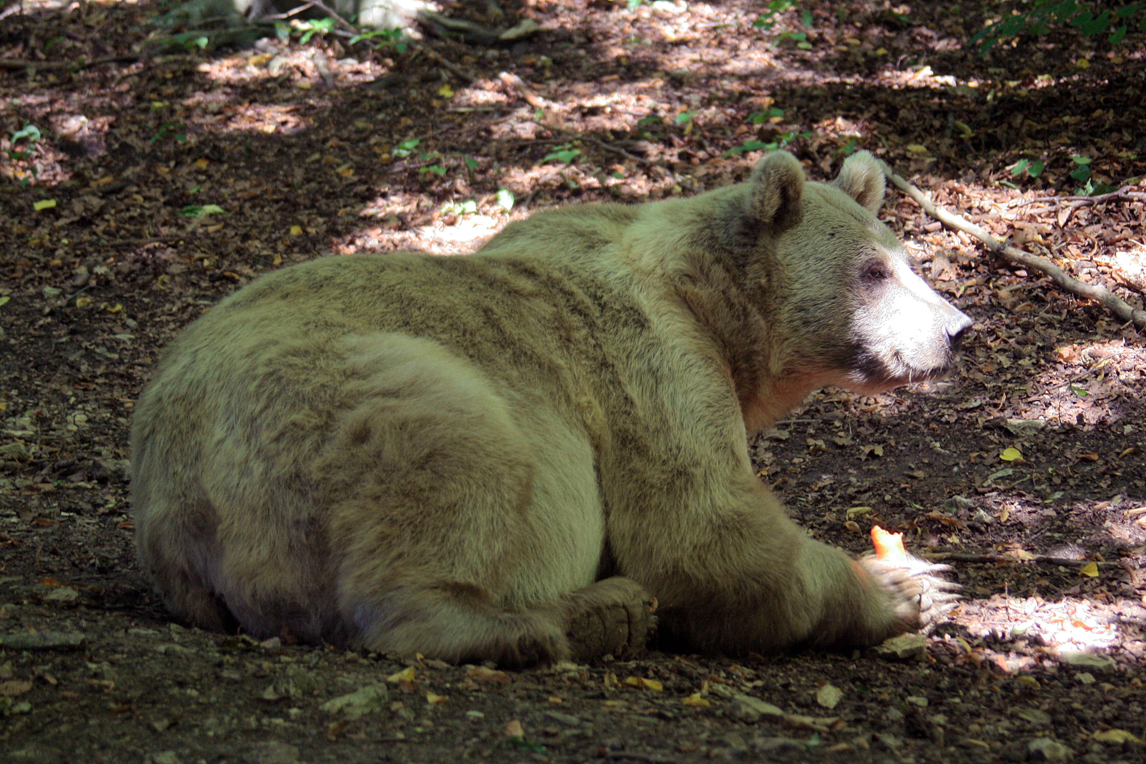 20100821105922.jpg