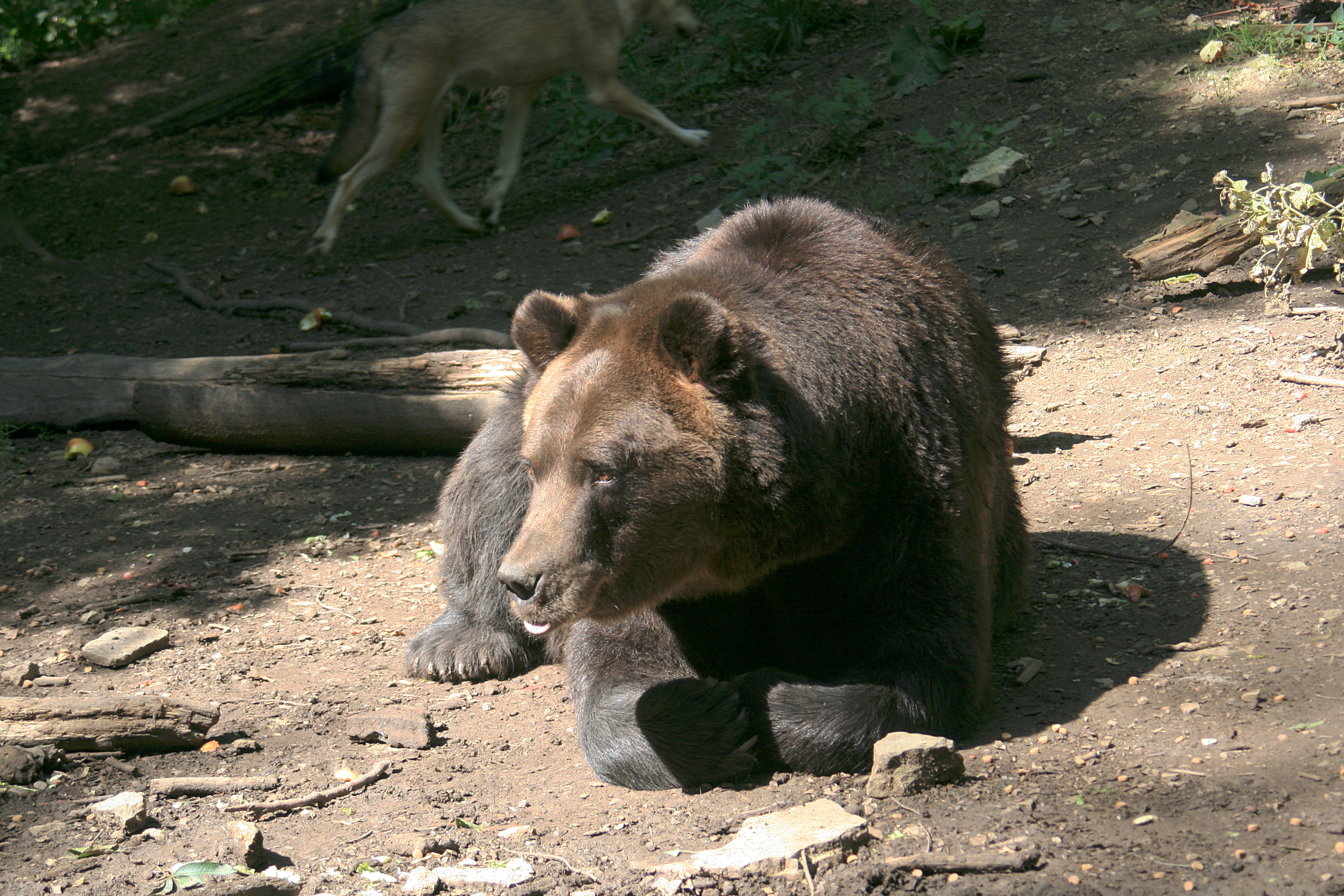 20100821110456.jpg