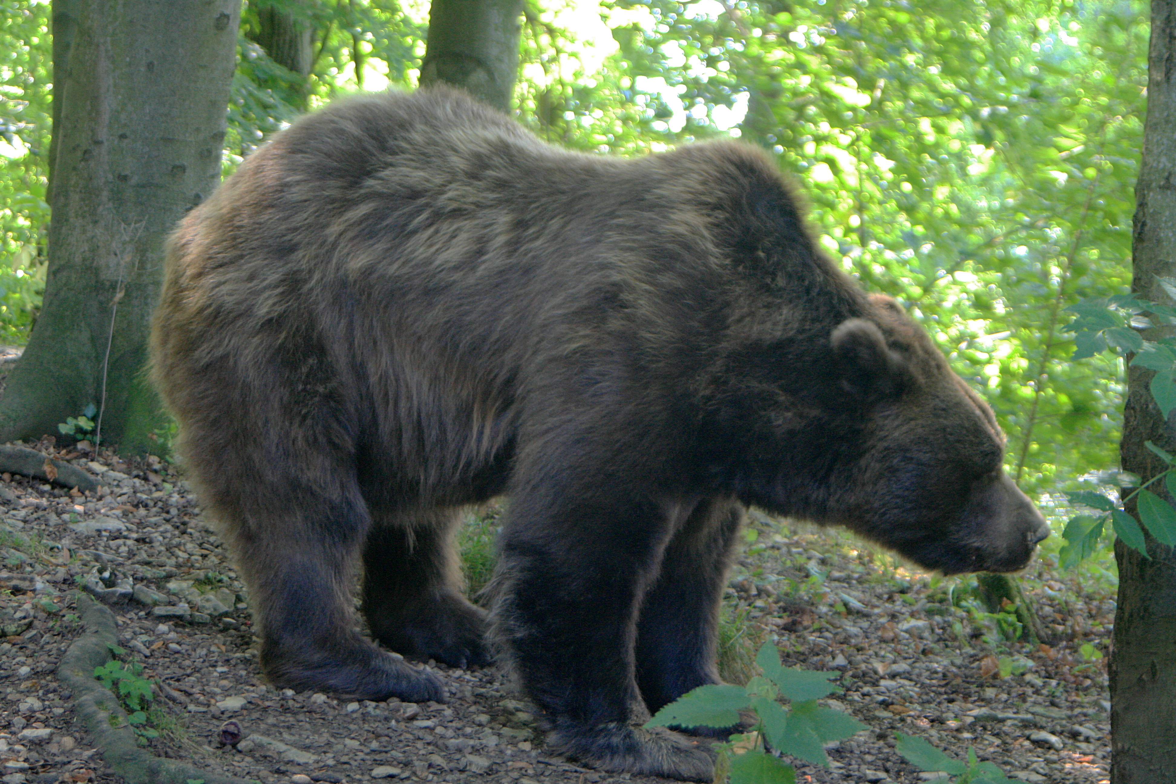 20100821110938.jpg
