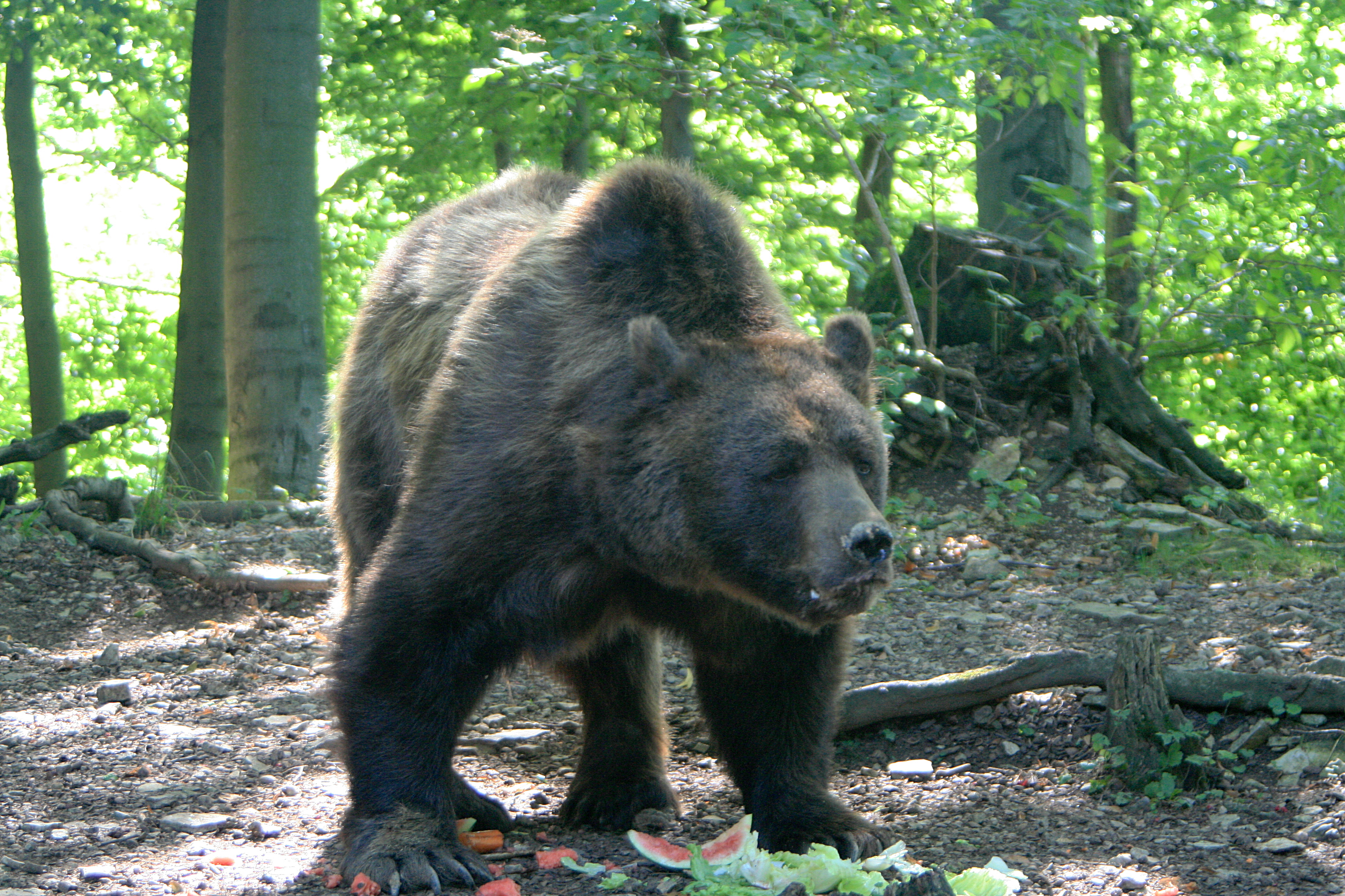 20100821111030.jpg
