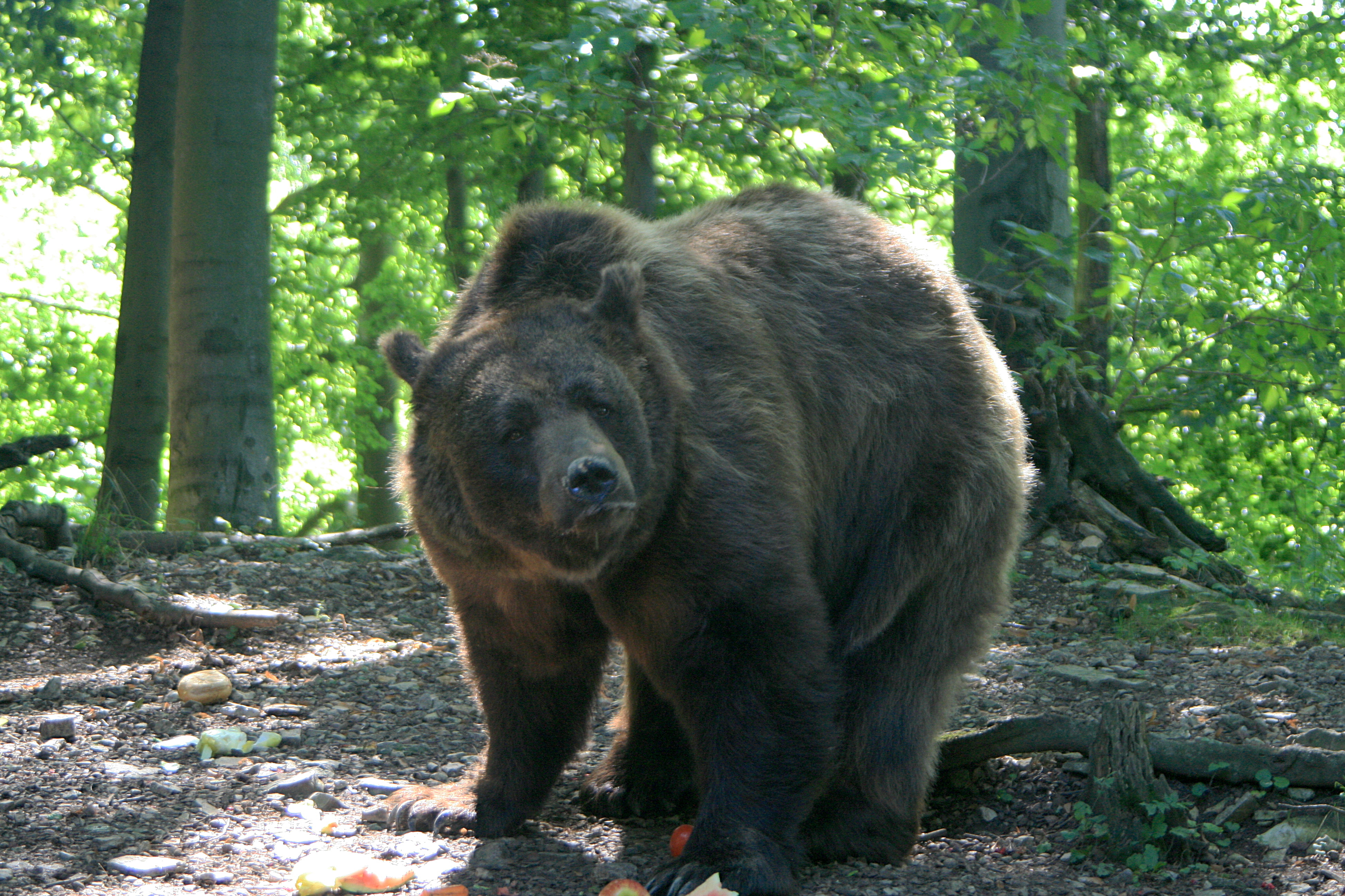 20100821111102.jpg