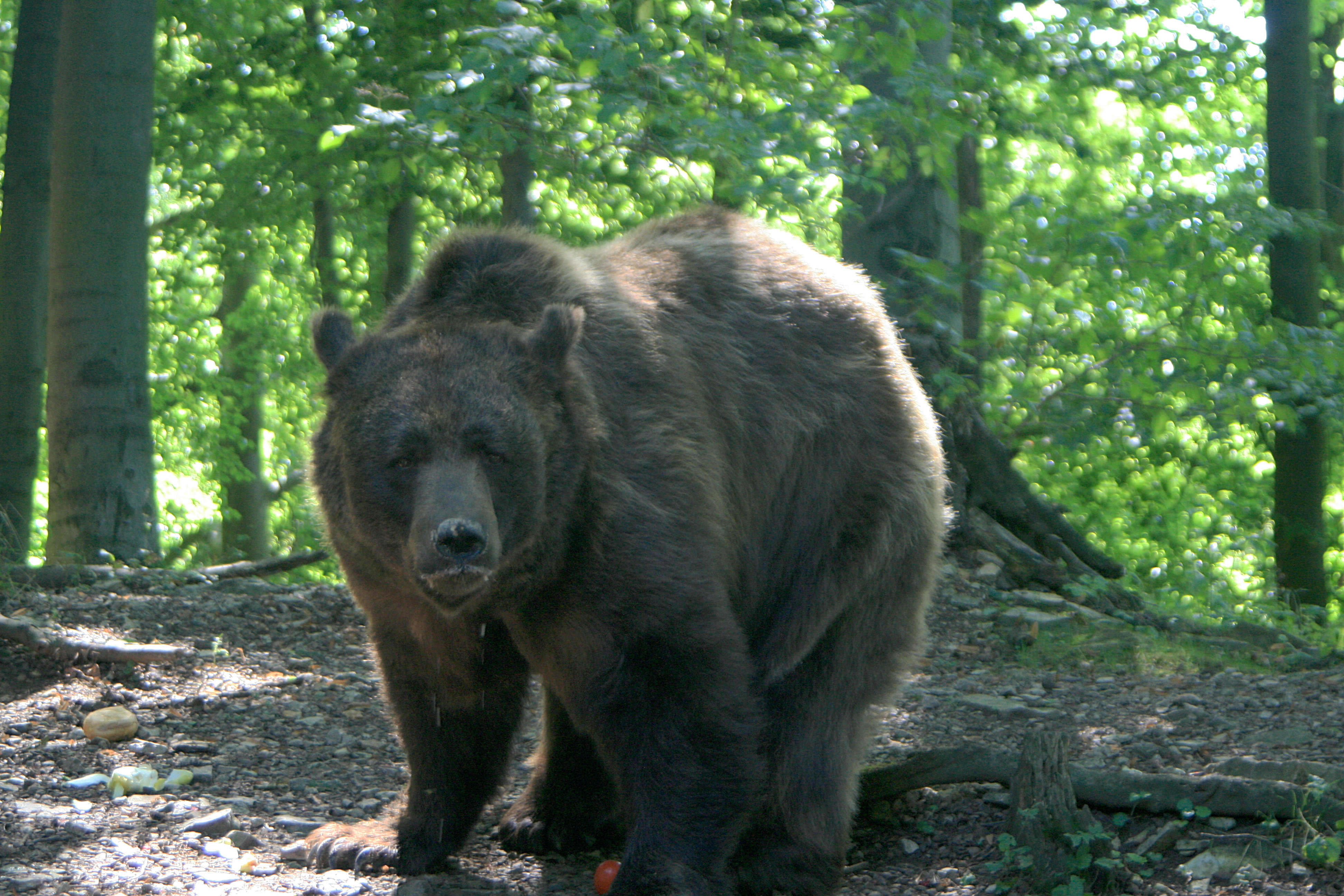 20100821111130.jpg