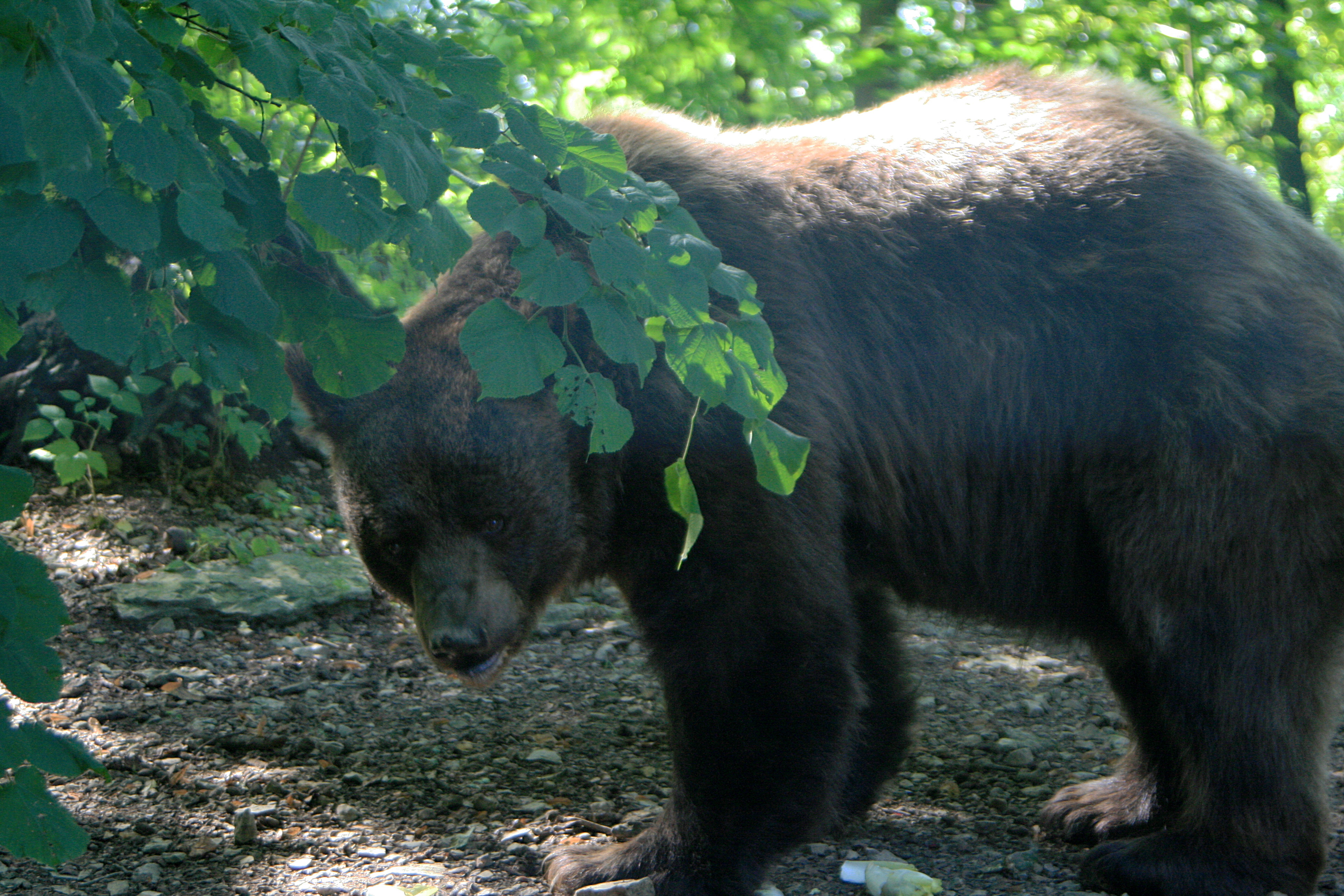20100821111226.jpg