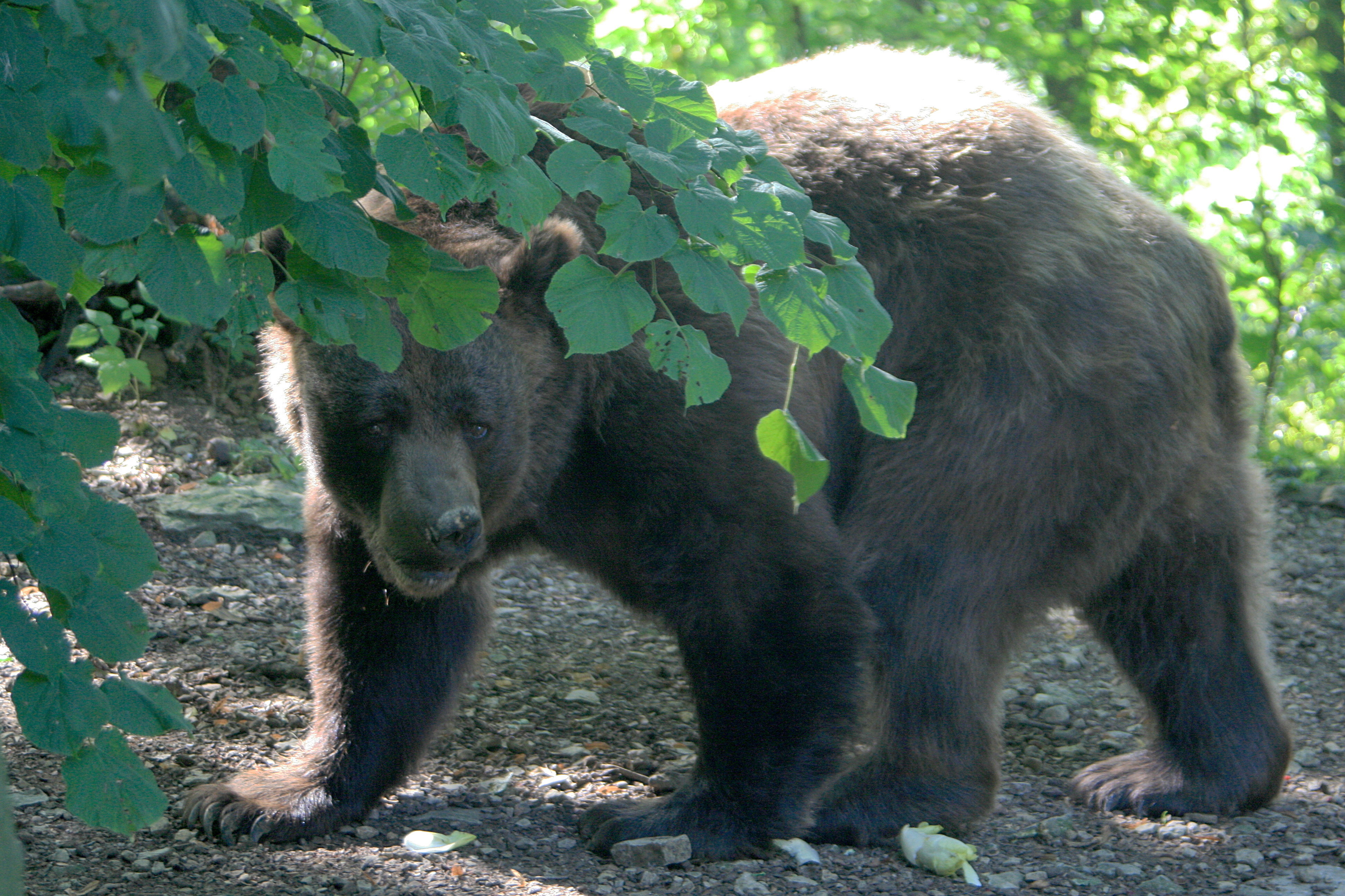 20100821111240.jpg