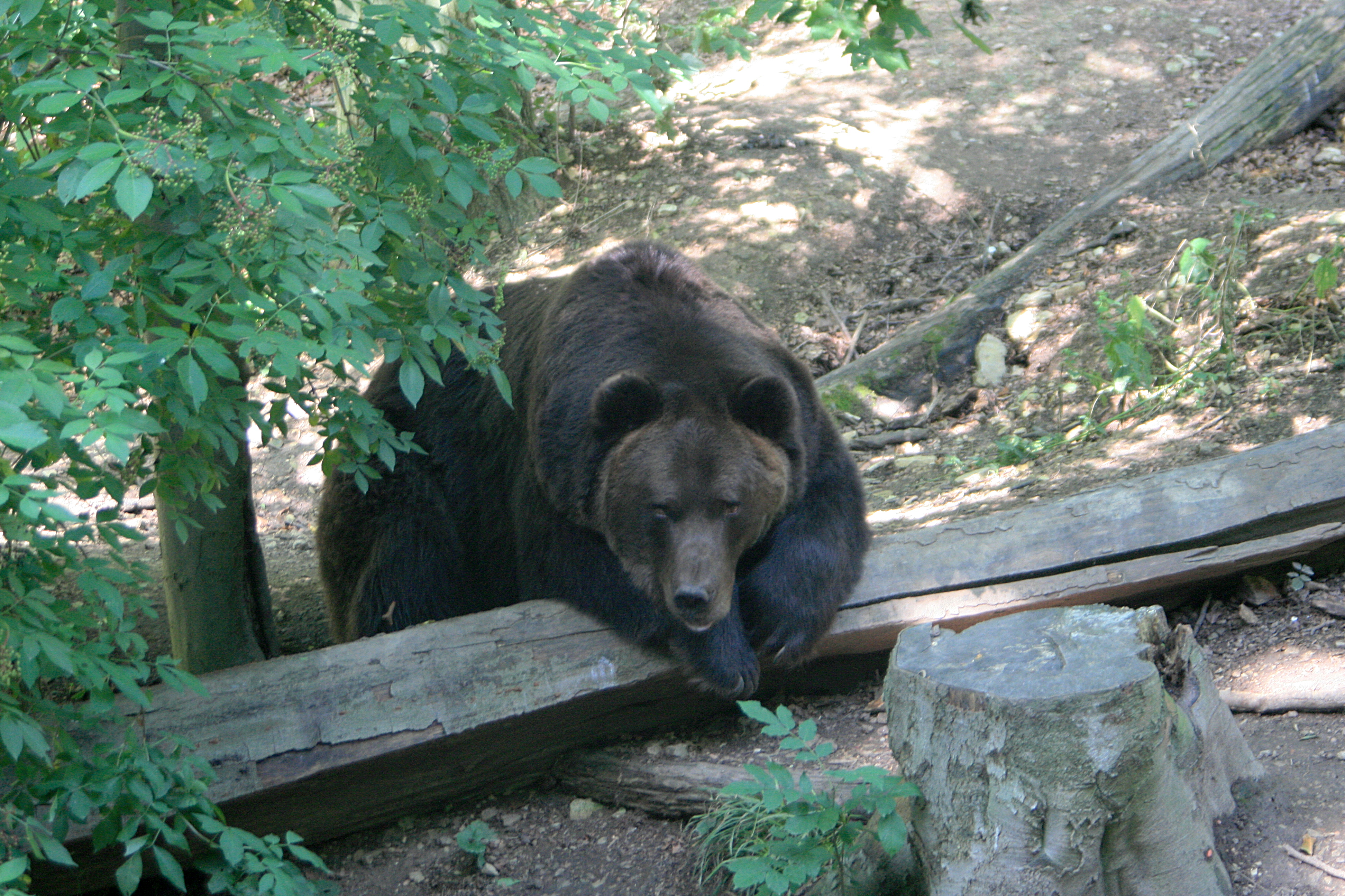 20100821111946.jpg