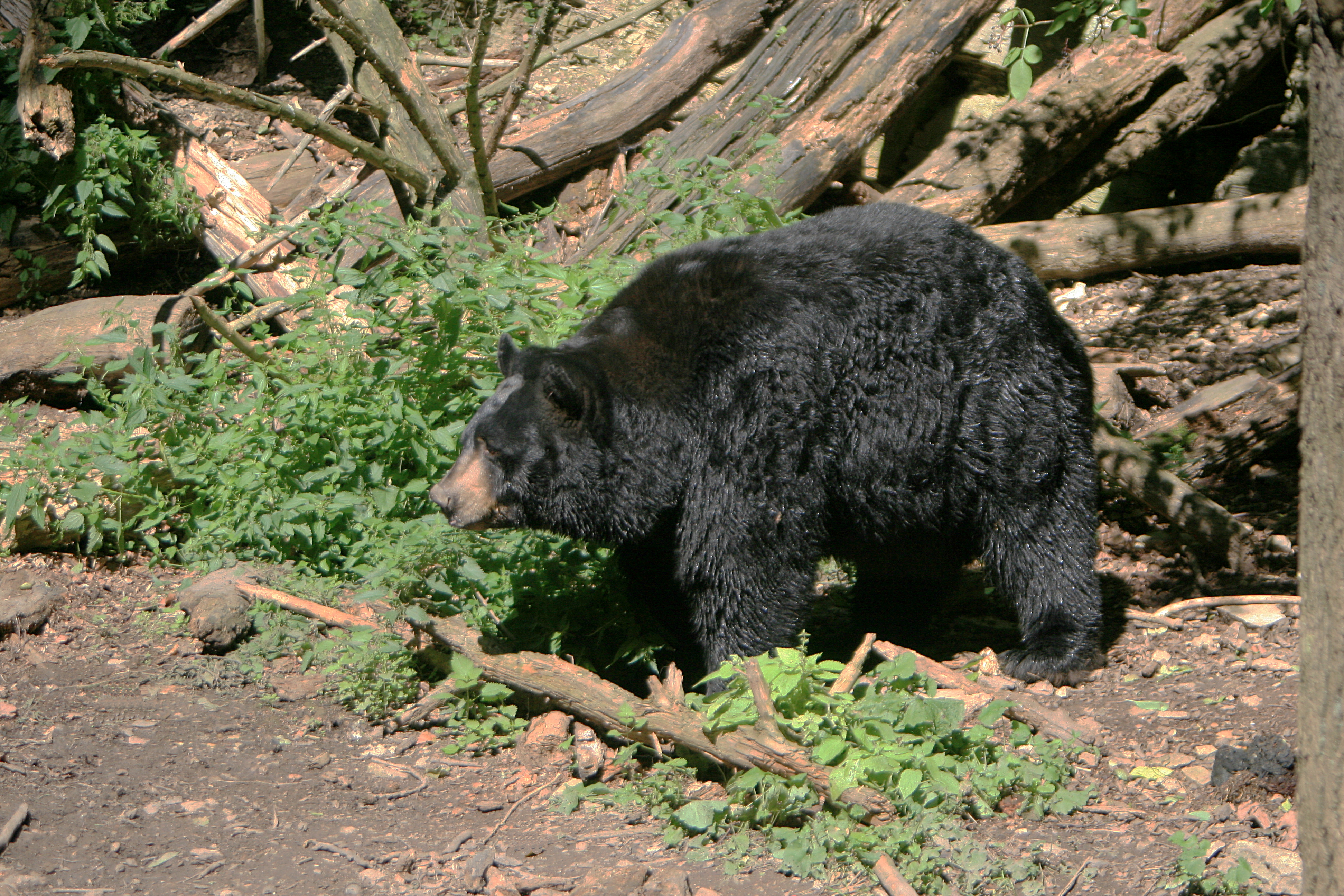 20100821112154.jpg