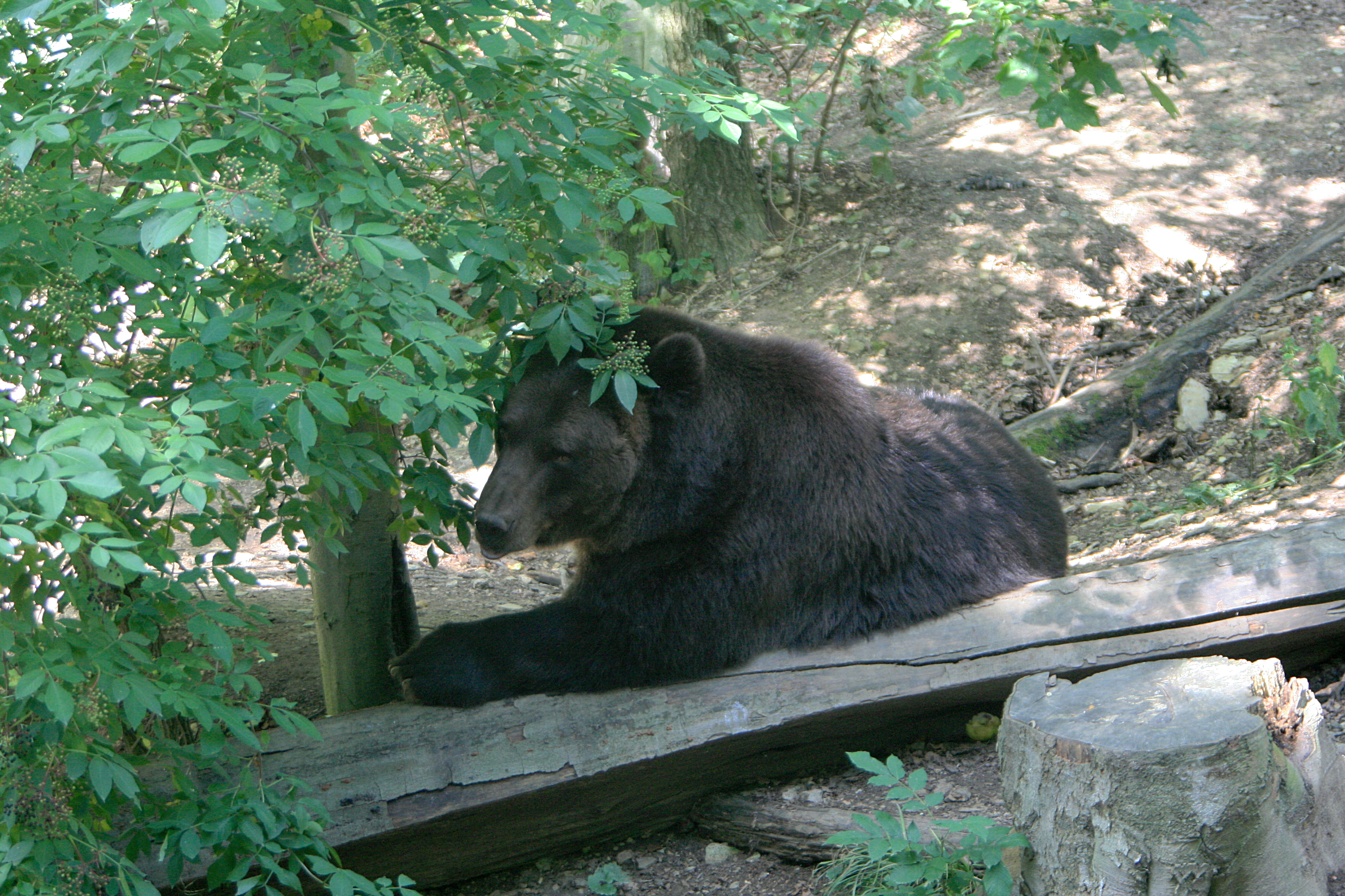 20100821112420.jpg