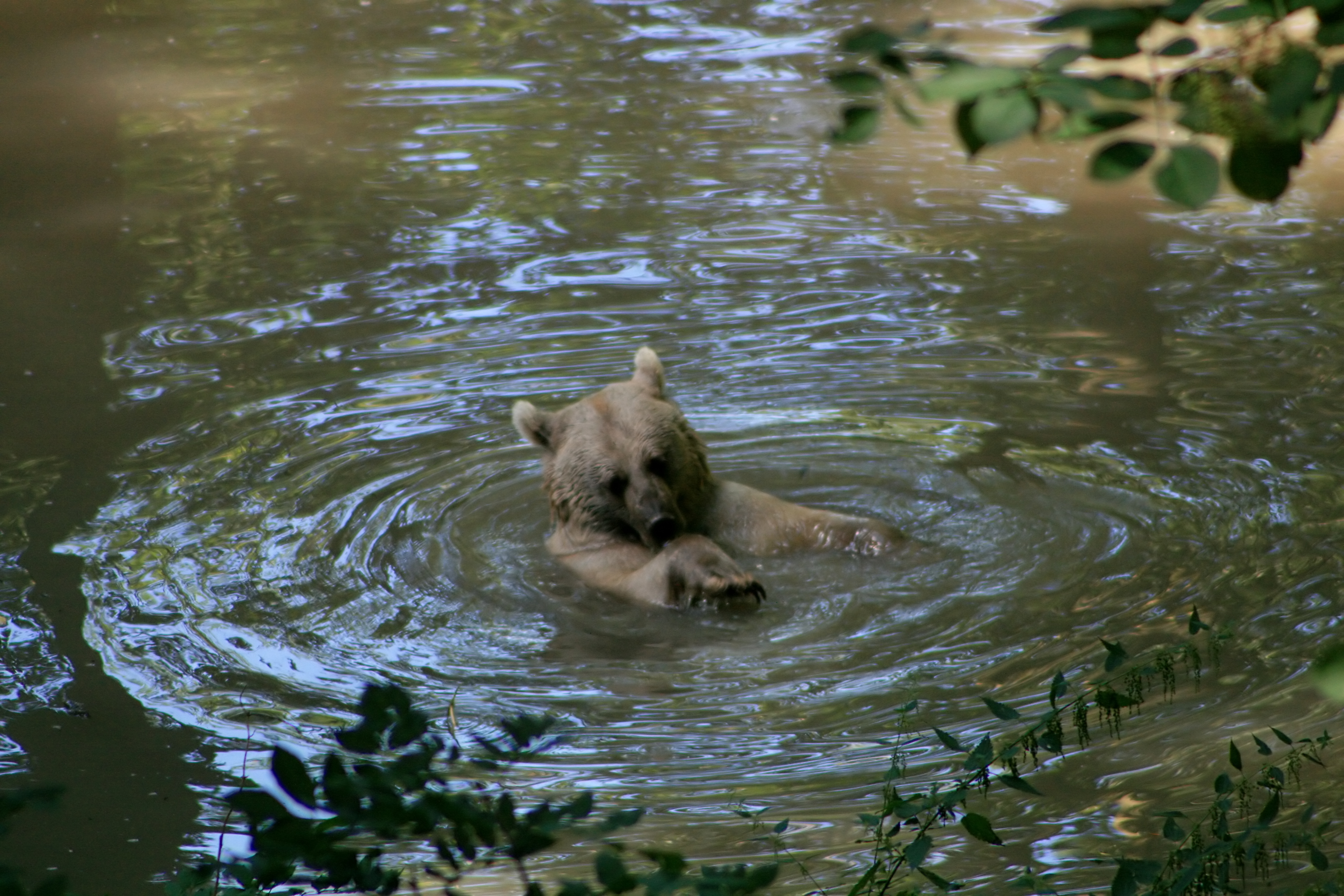20100821112614.jpg