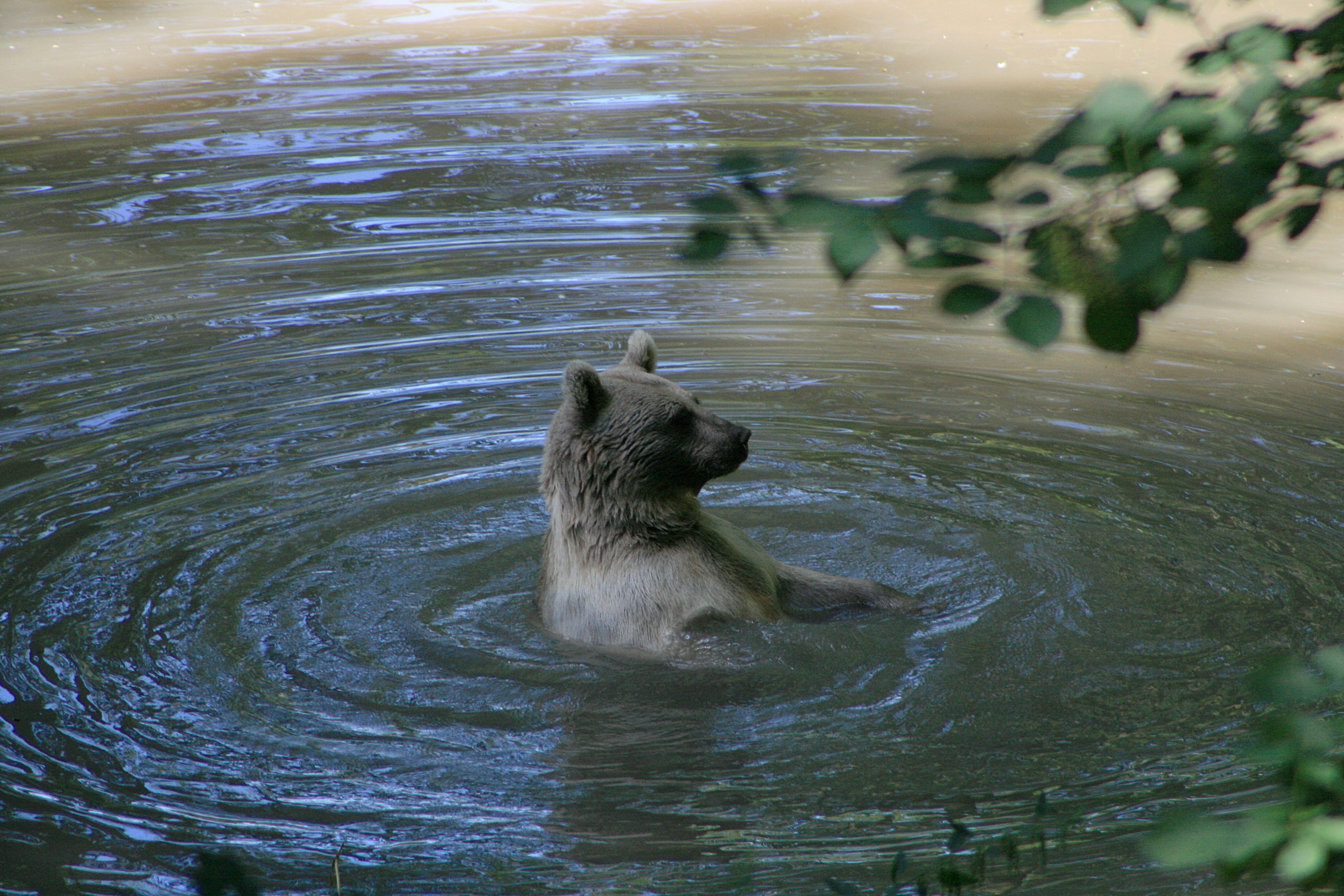 20100821112632.jpg