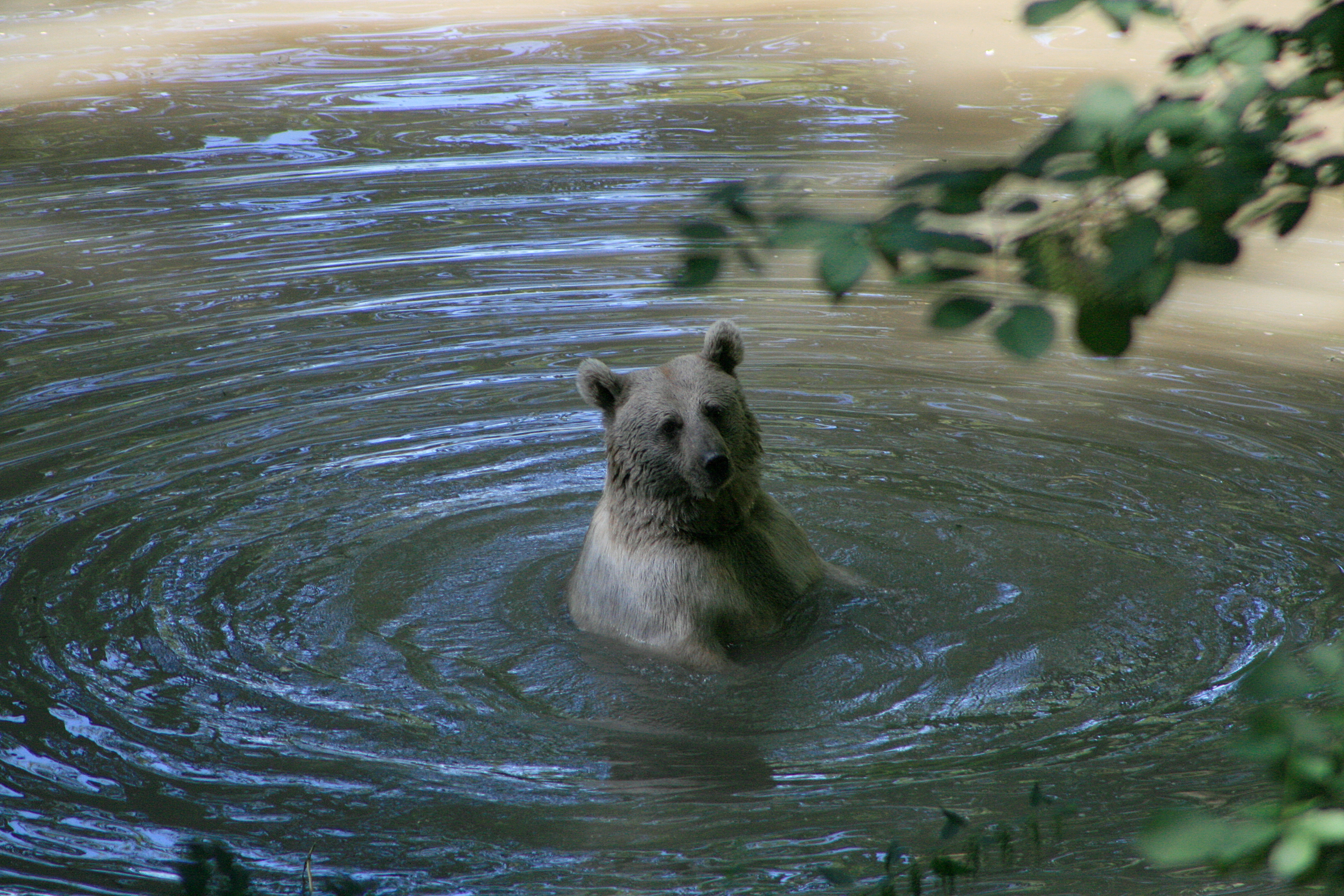 20100821112634.jpg