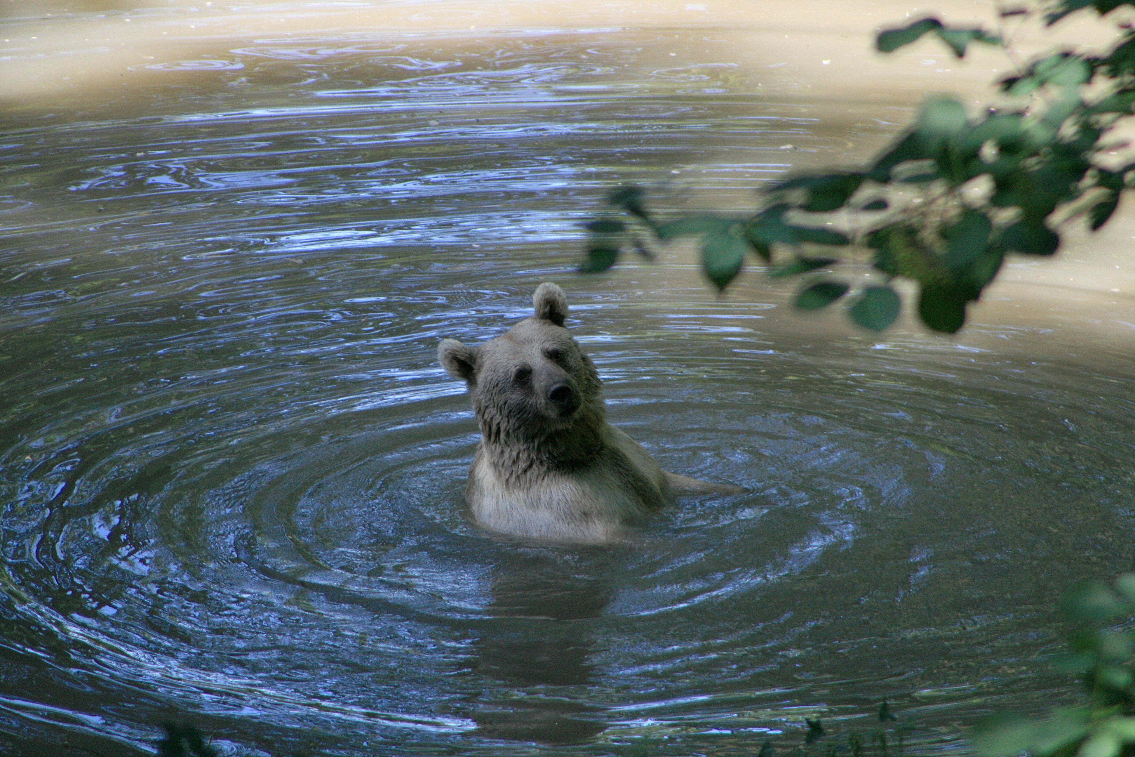 20100821112640.jpg
