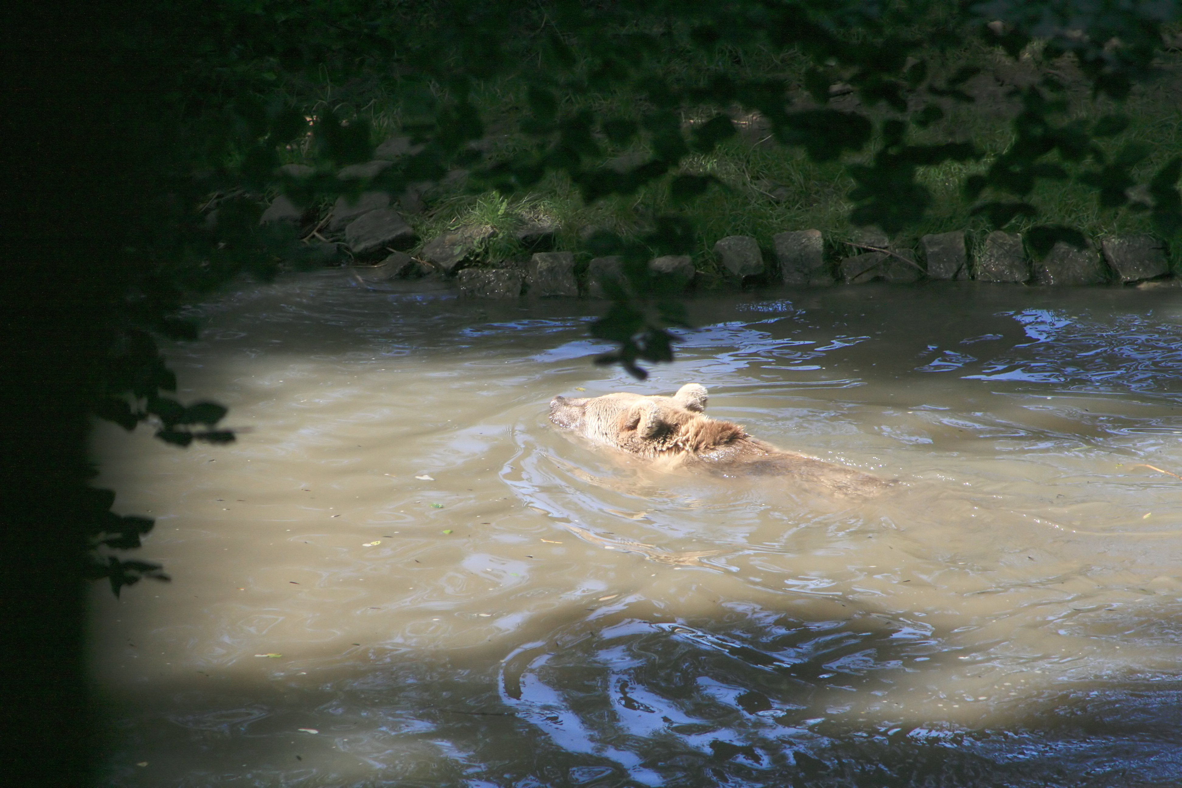 20100821112716.jpg