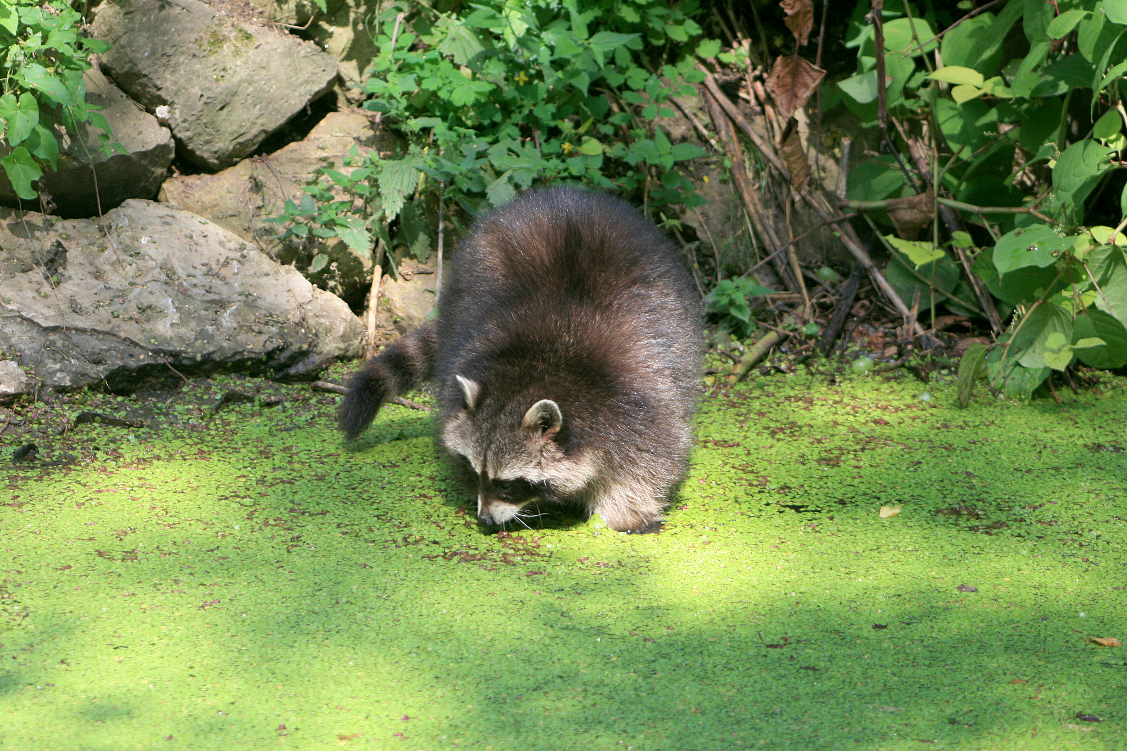 20100821115143.jpg