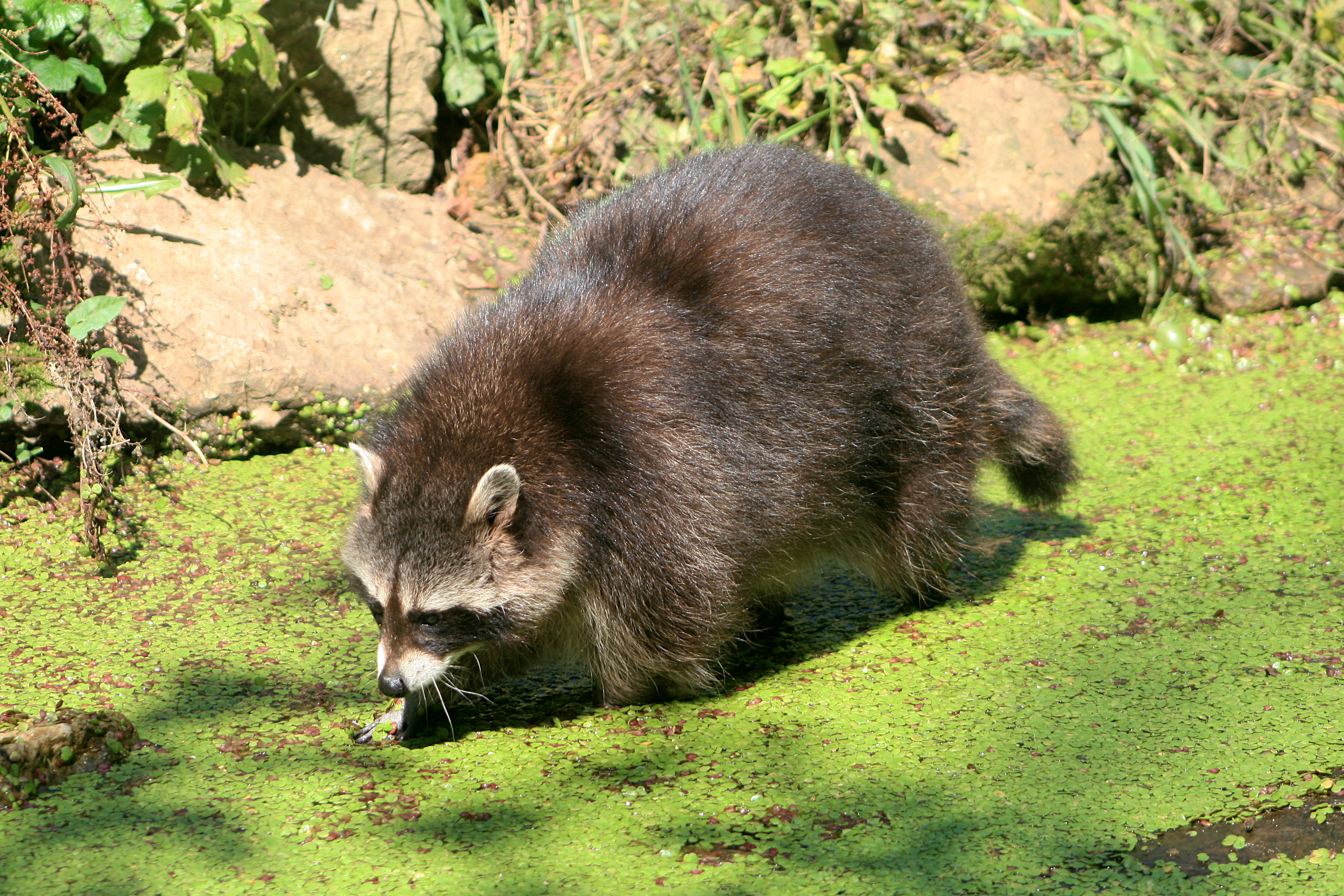 20100821115154.jpg