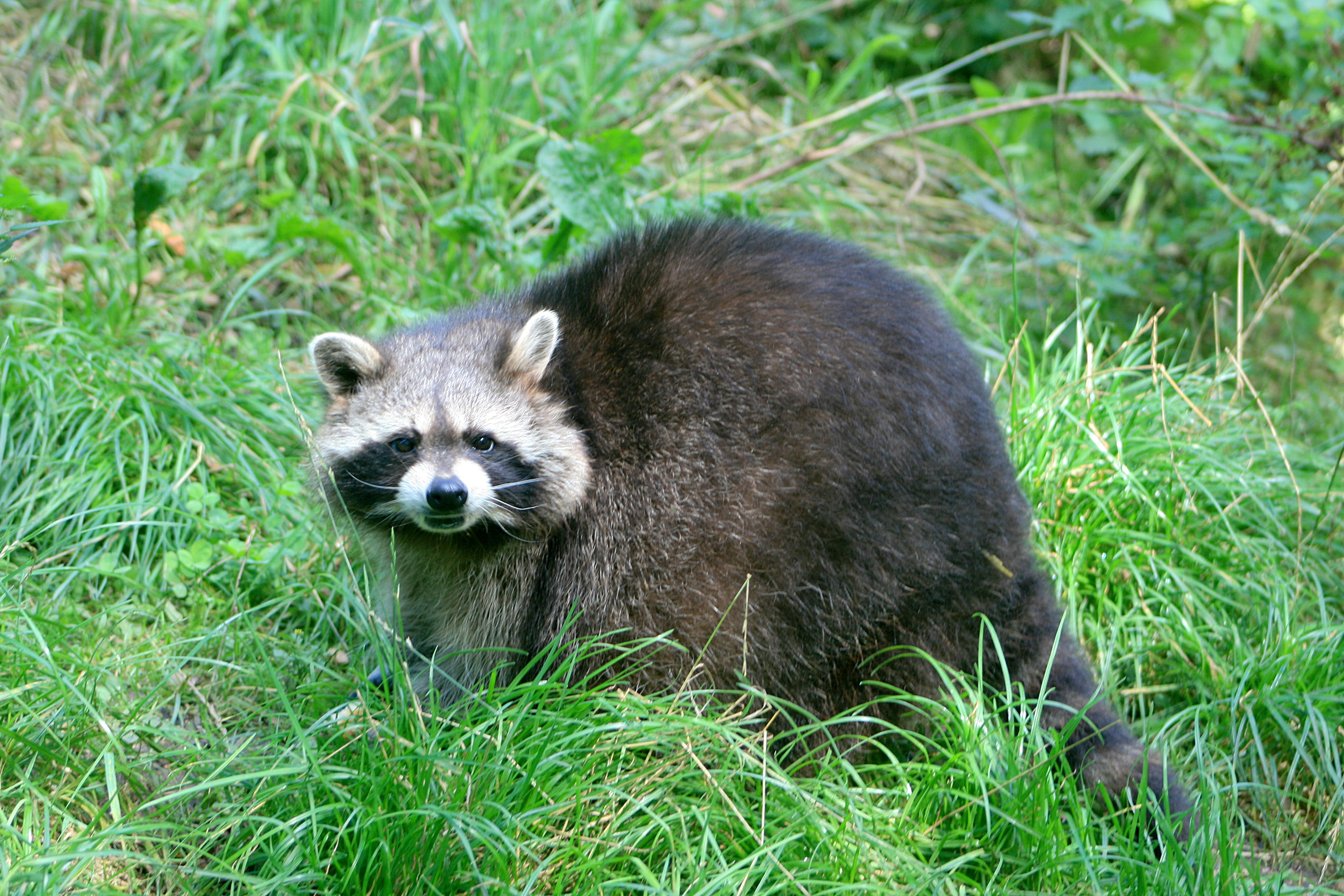 20100821115325.jpg