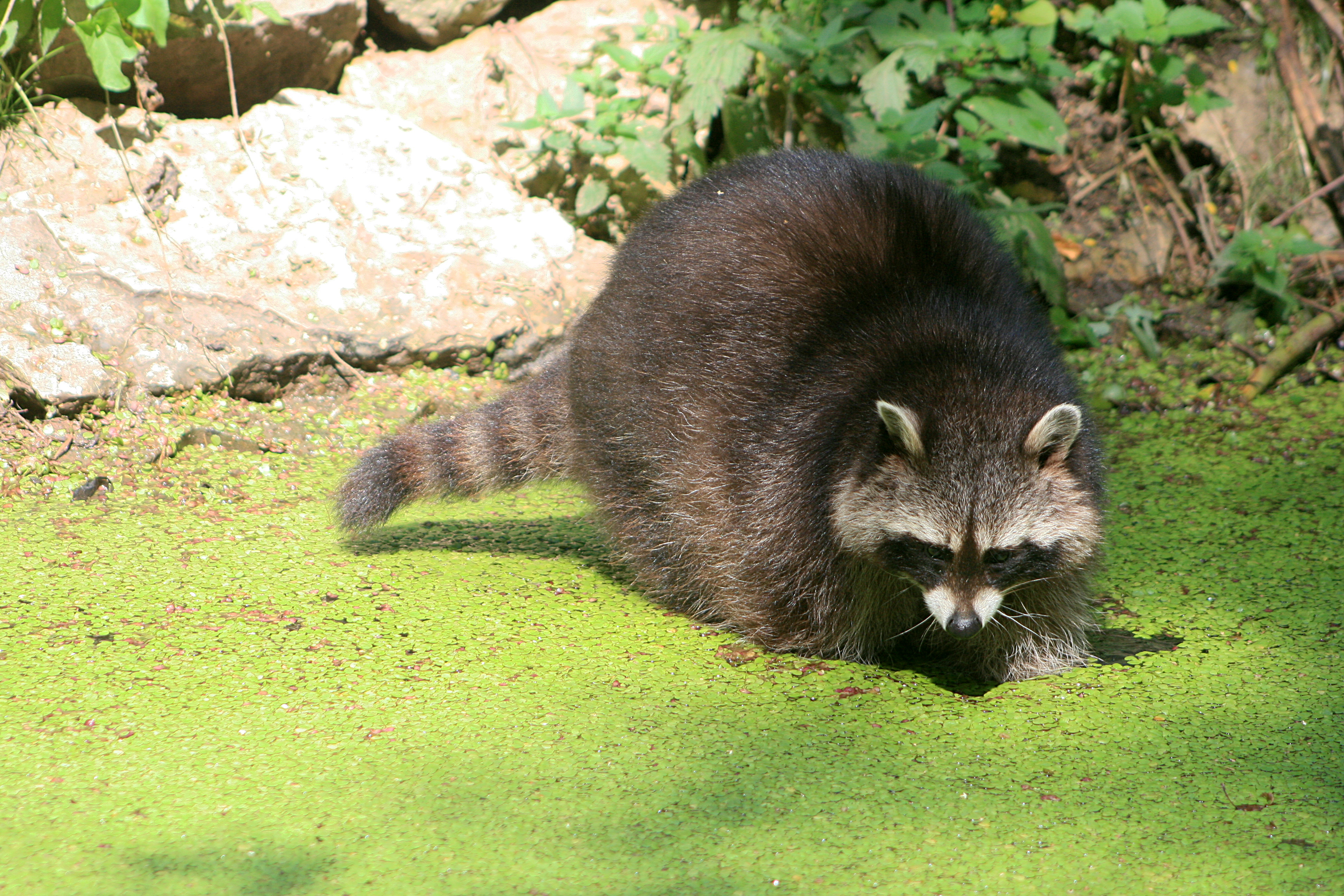 20100821120014.jpg