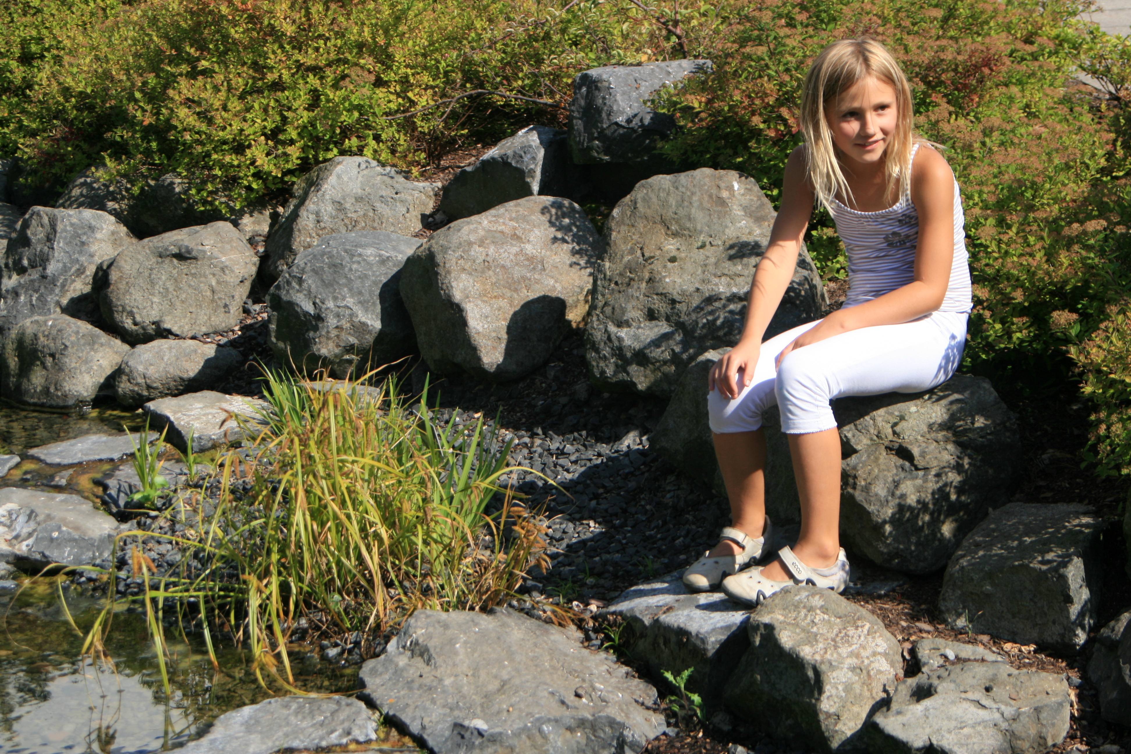 20100821145050.jpg