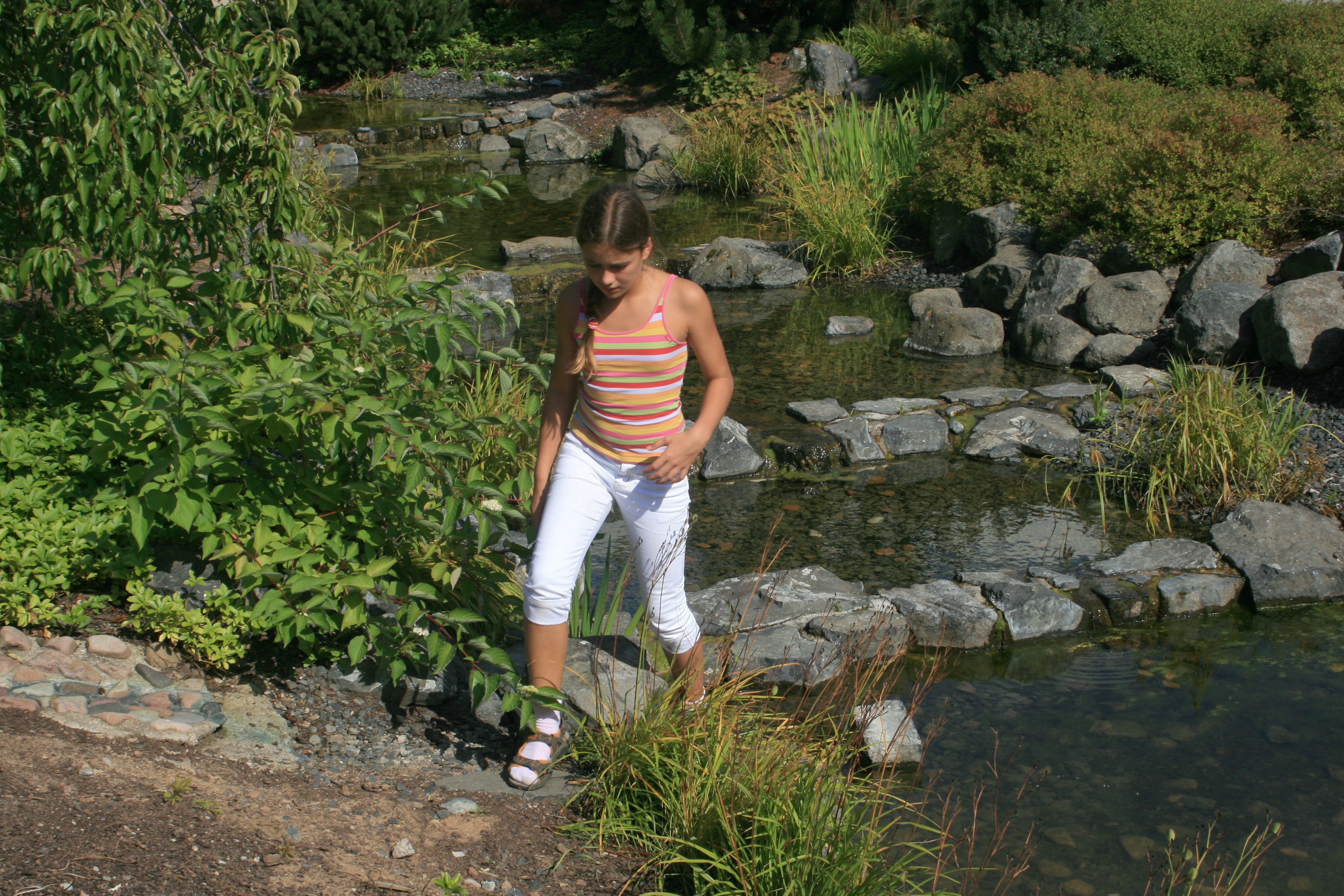 20100821145159.jpg