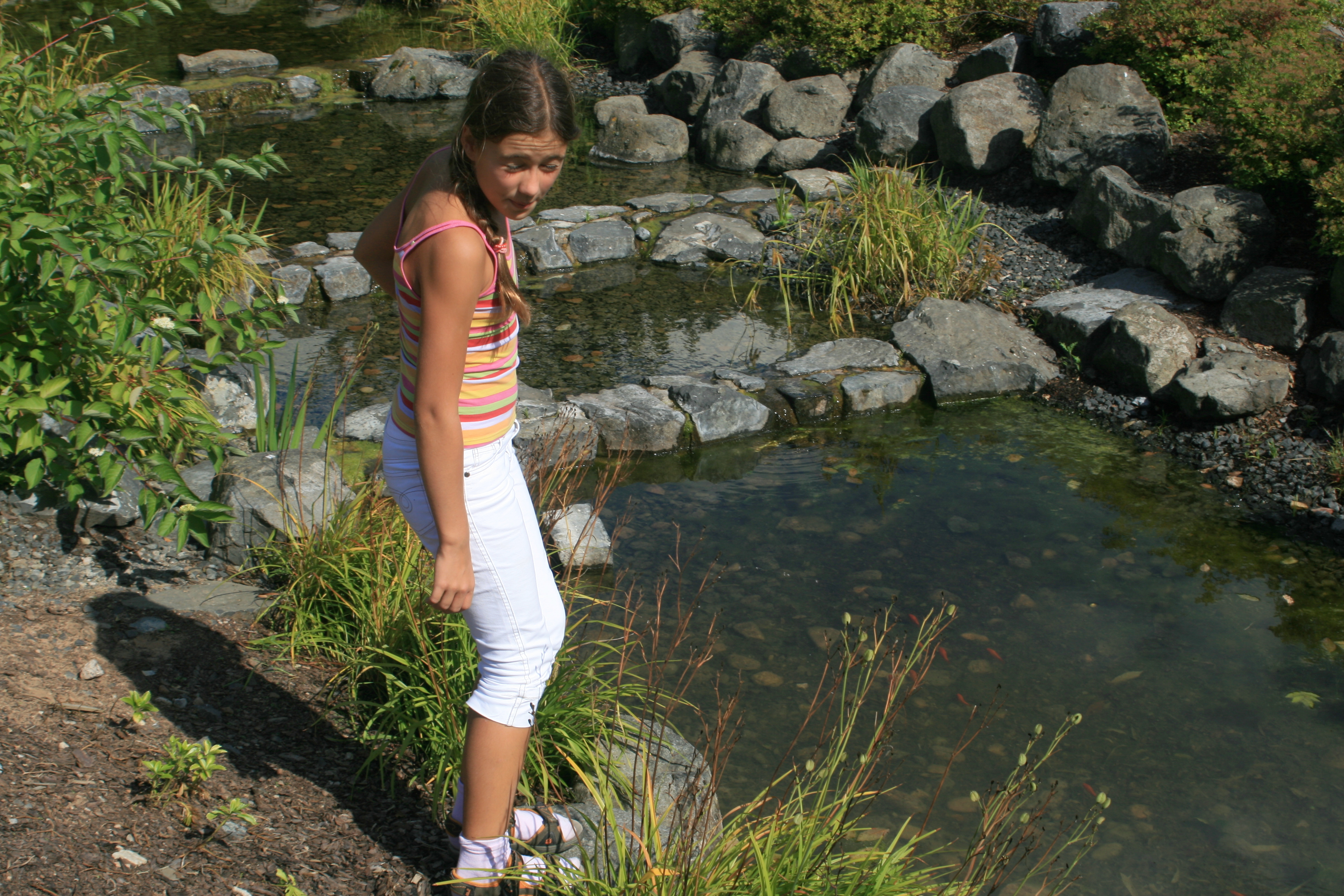 20100821145202.jpg