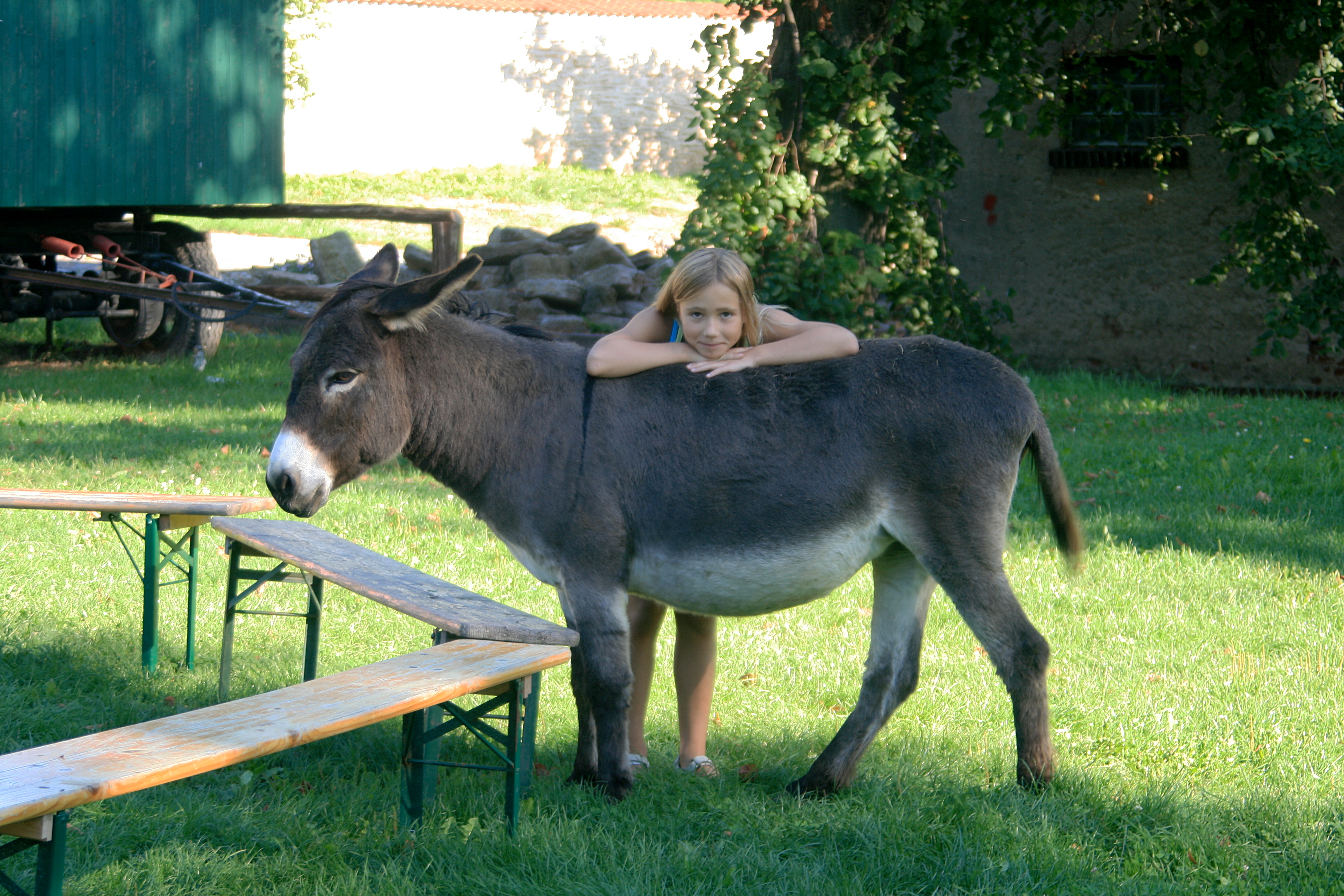 20100822080544.jpg