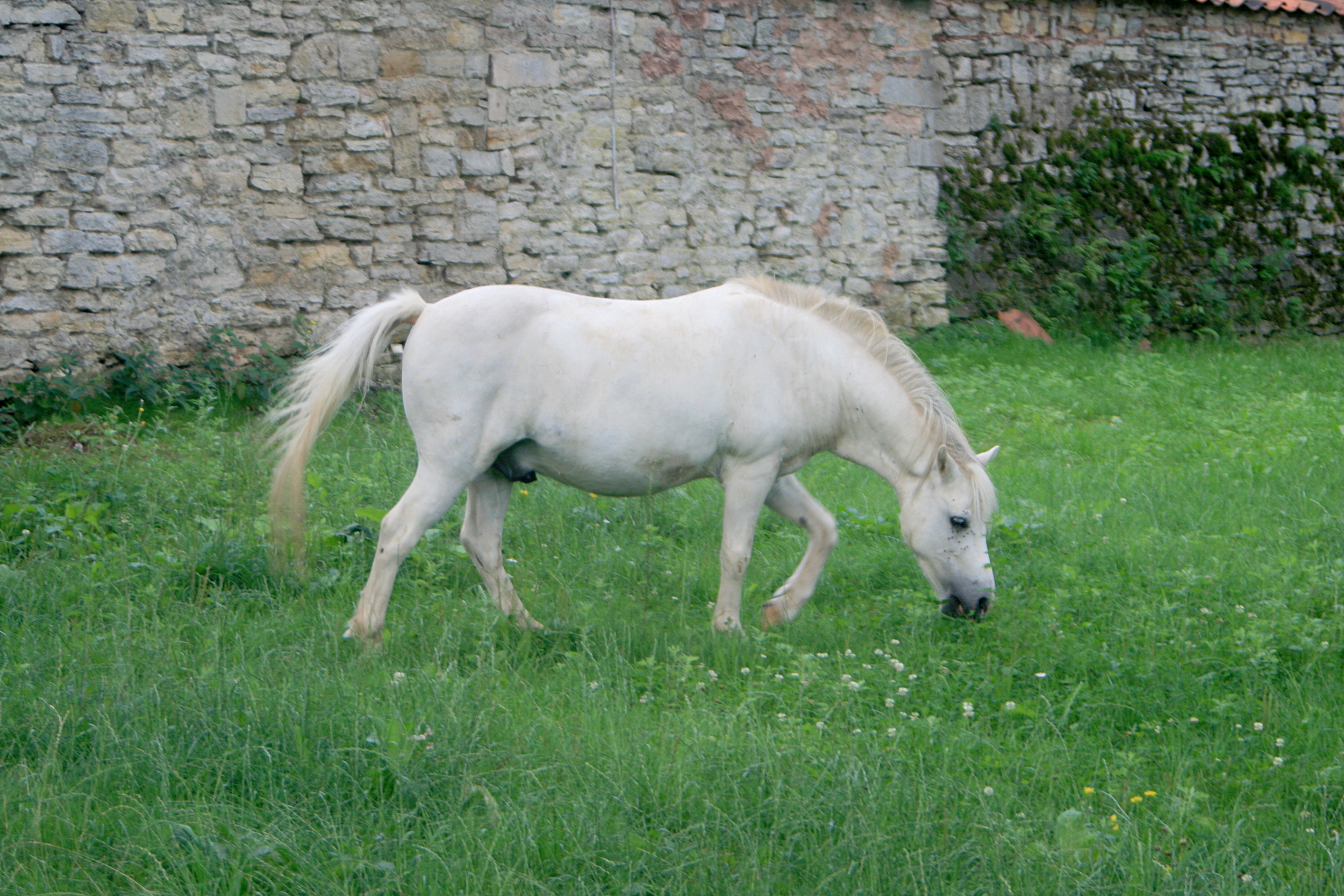 20100822084840.jpg