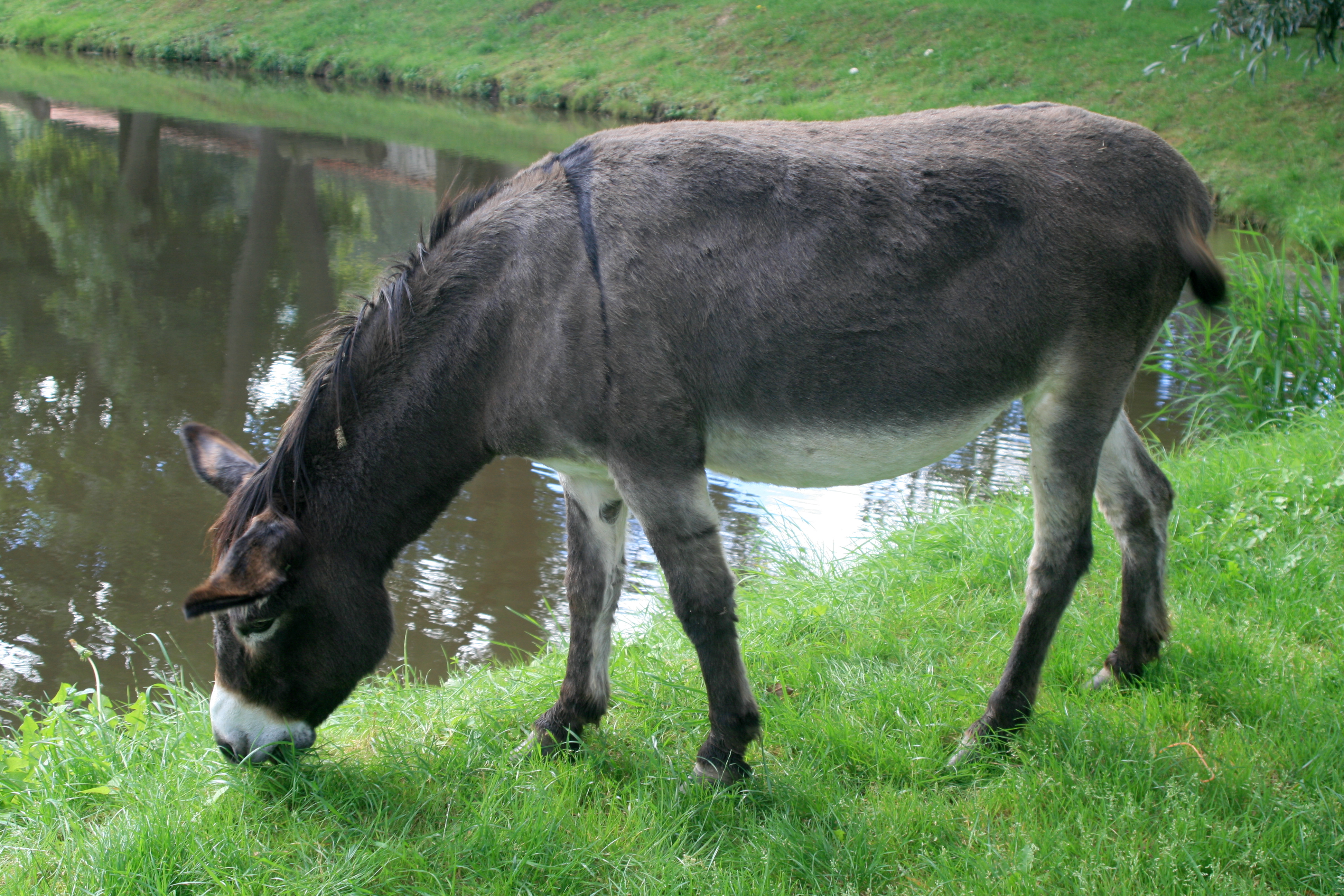 20100822085042.jpg