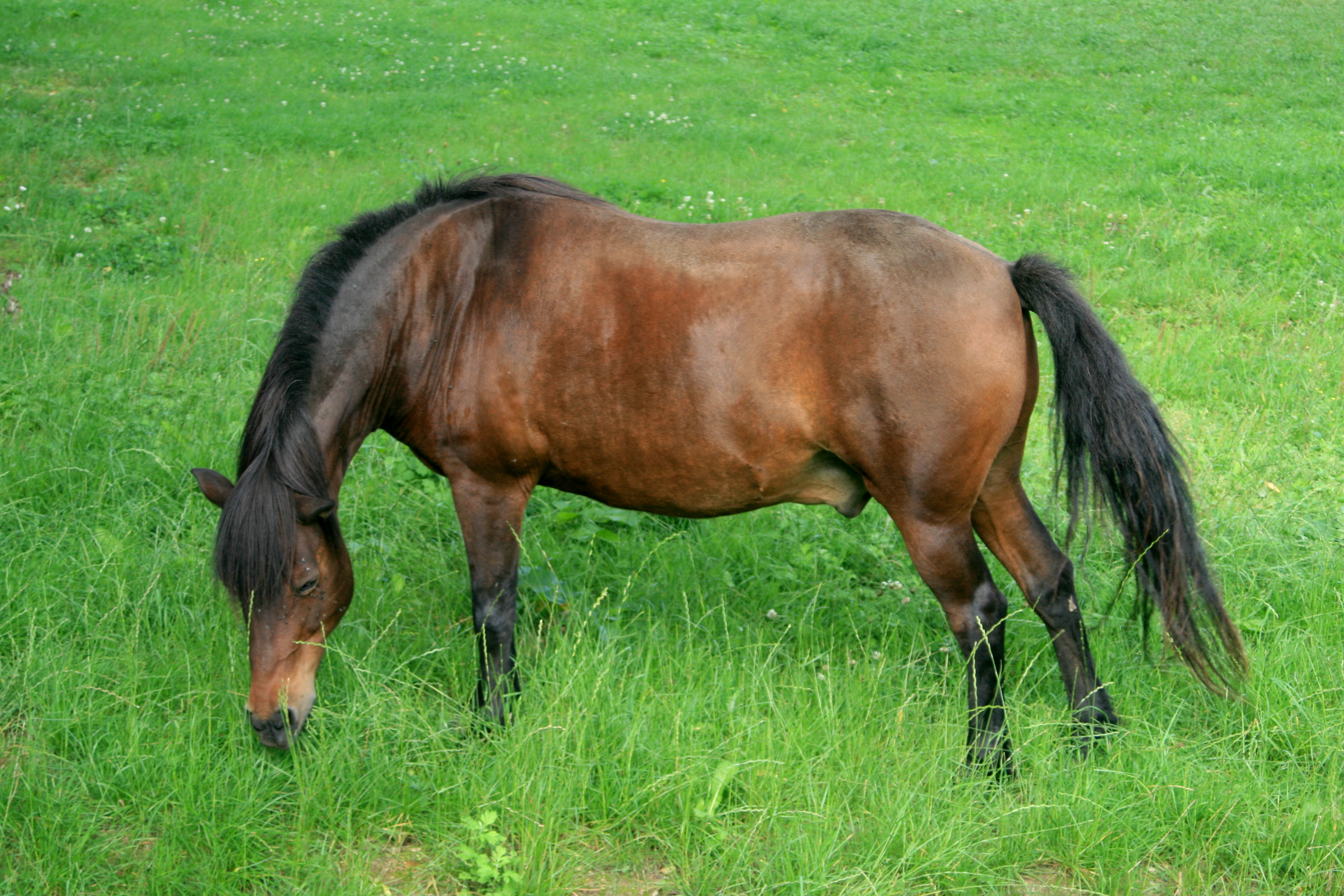 20100822085054.jpg