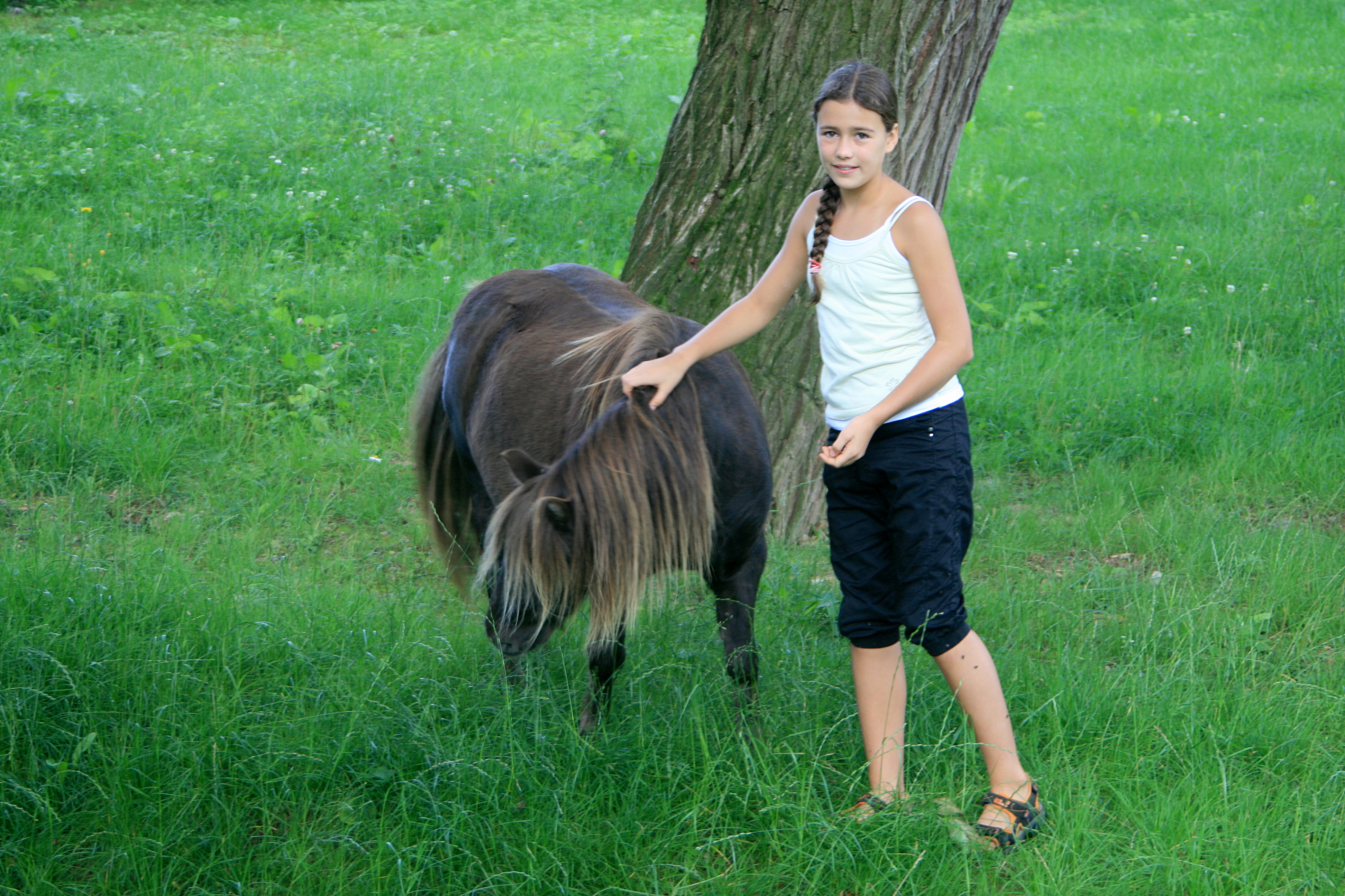 20100822085108.jpg
