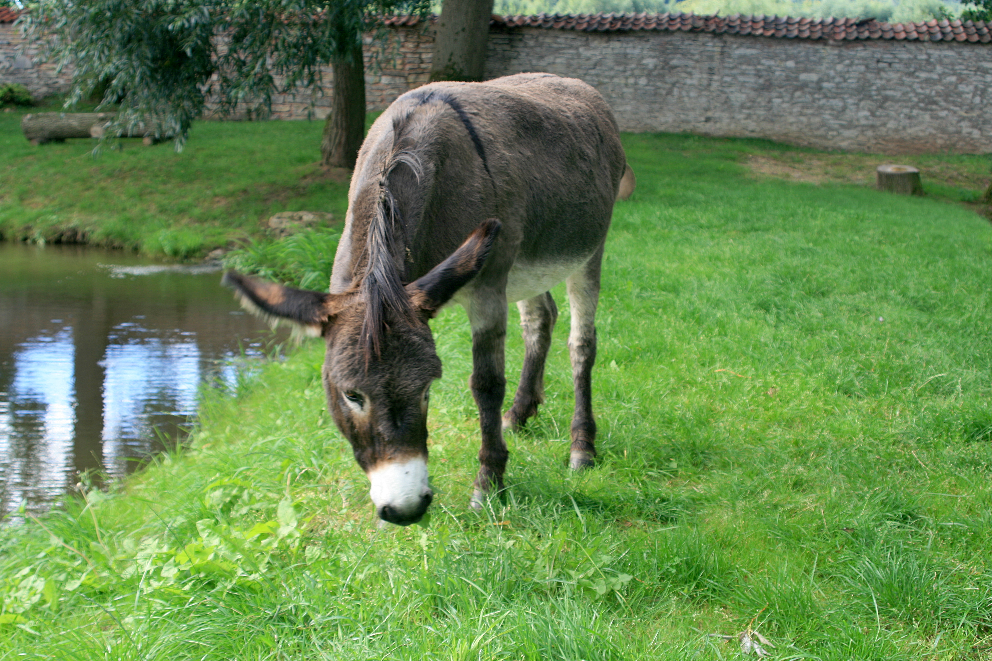 20100822085417.jpg