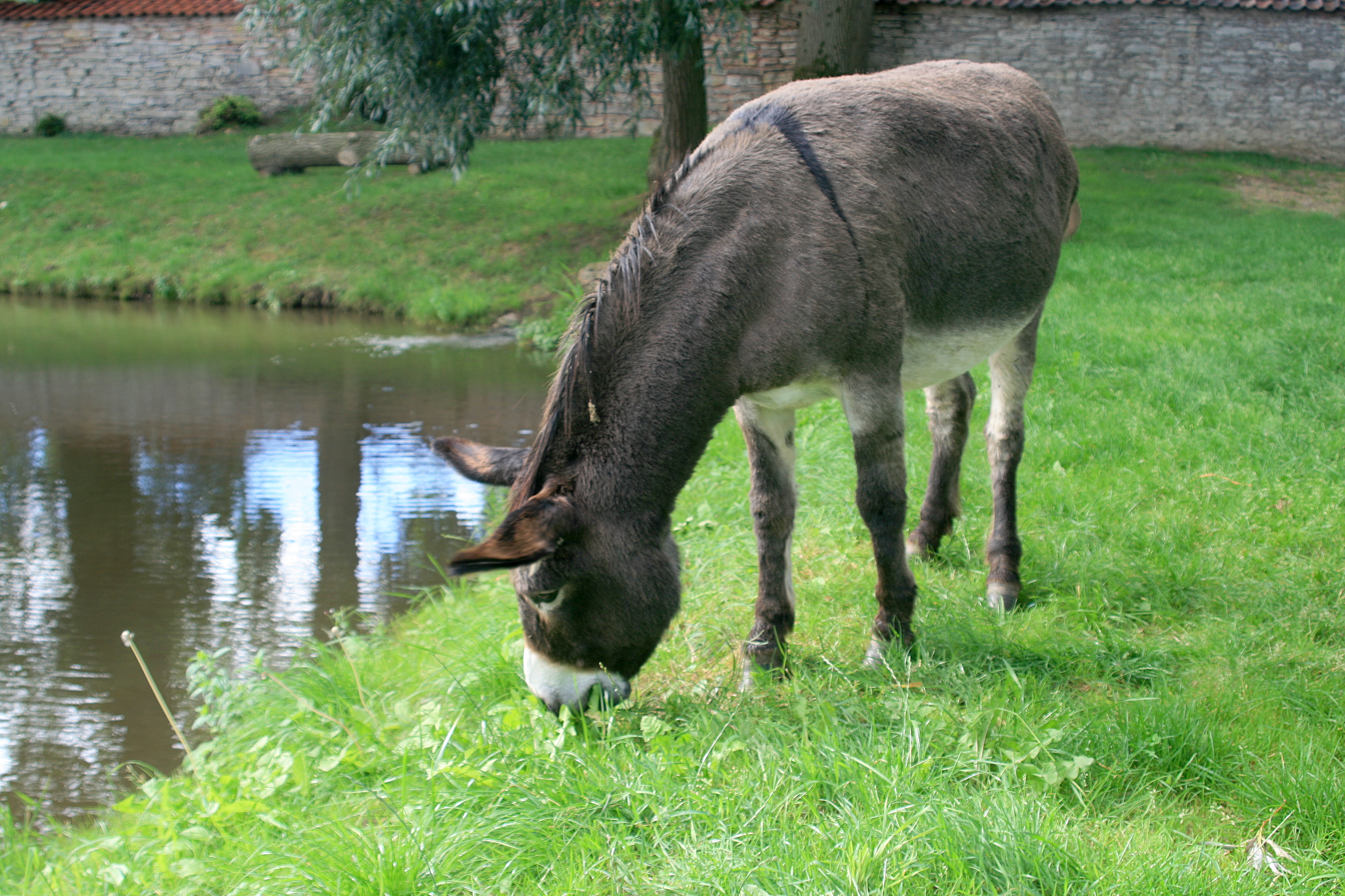 20100822085434.jpg