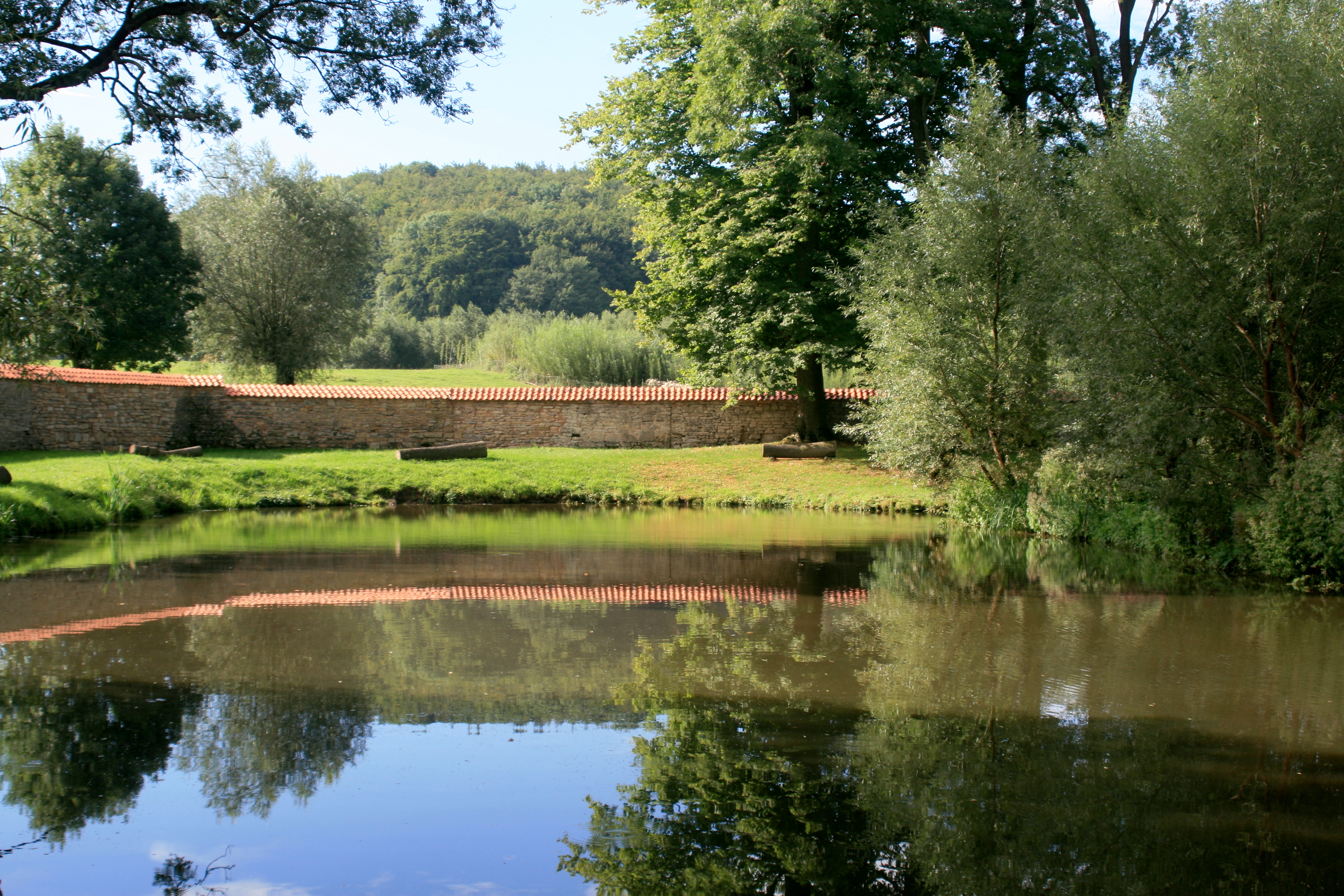 20100822085732.jpg