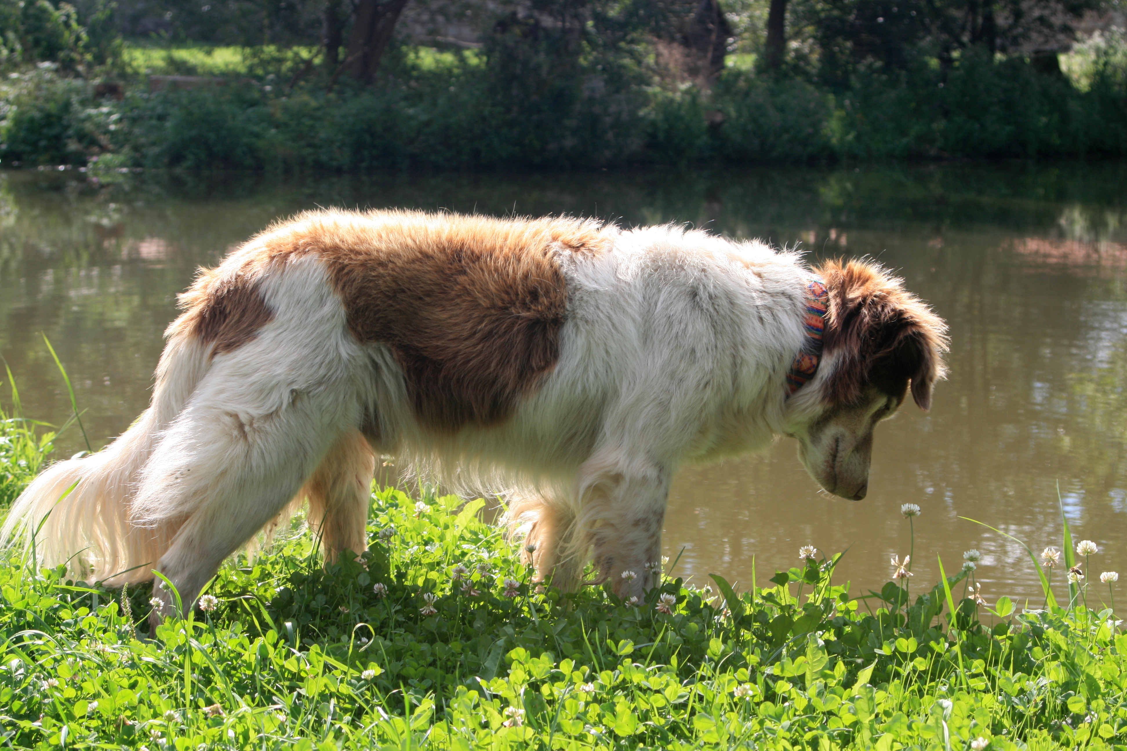 20100822094334.jpg